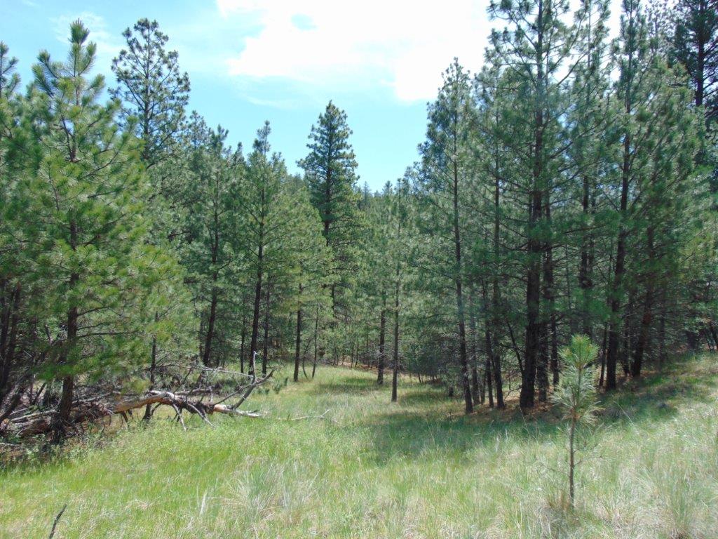 19 Lookout Lane Property Photo 19