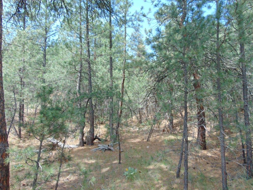 19 Lookout Lane Property Photo 24