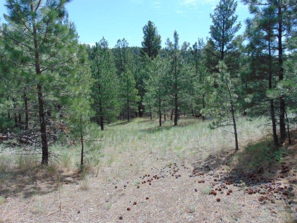 19 Lookout Lane Property Photo 26