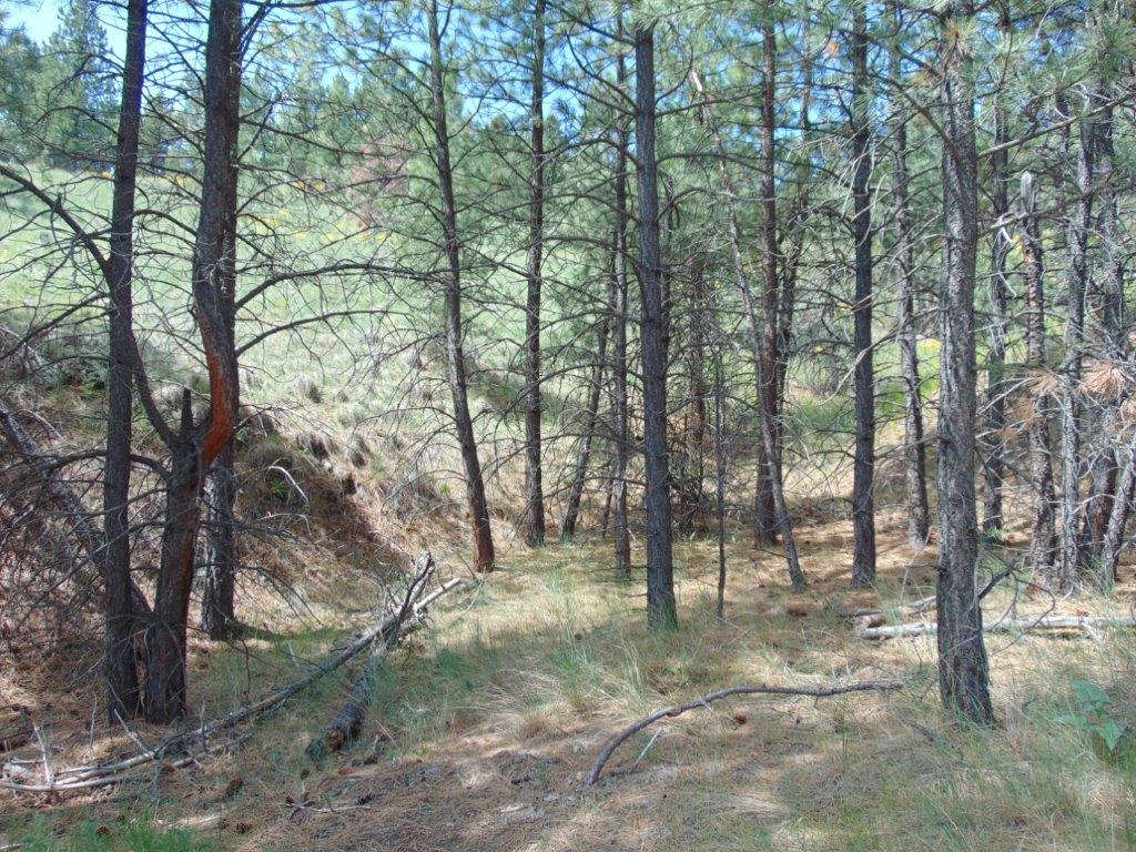 19 Lookout Lane Property Photo 27