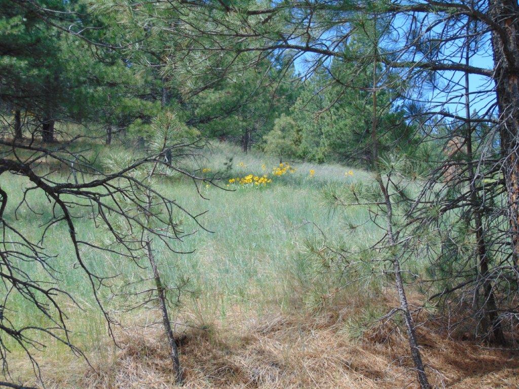19 Lookout Lane Property Photo 30