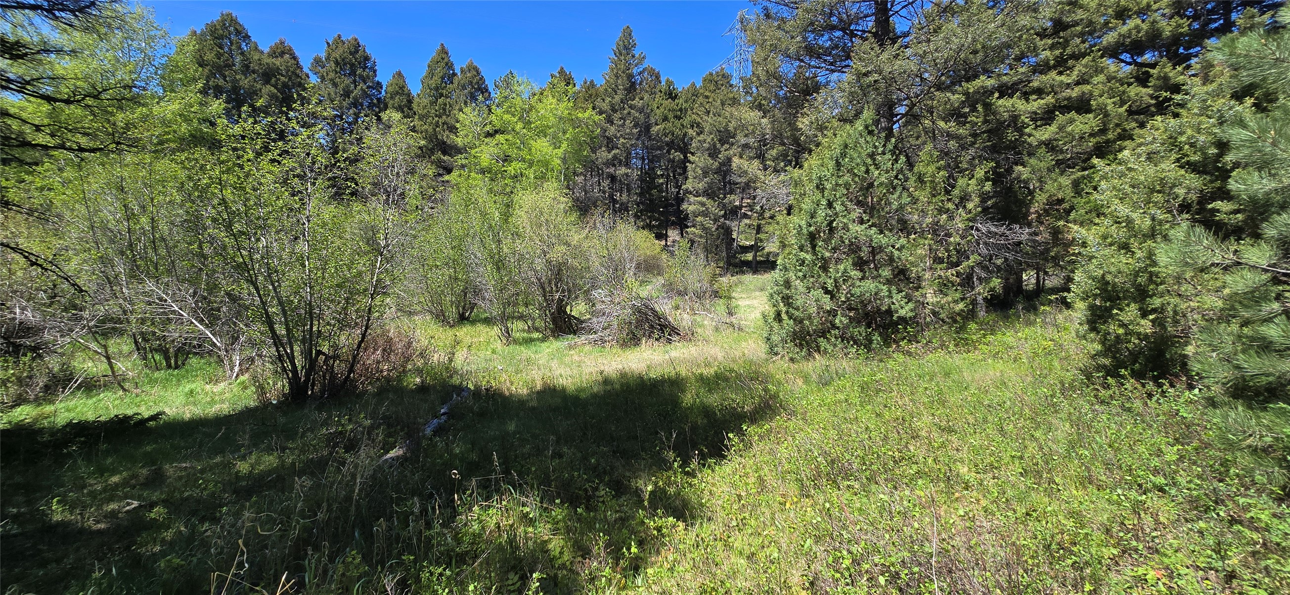 Tbd Powerline Road Property Photo 1