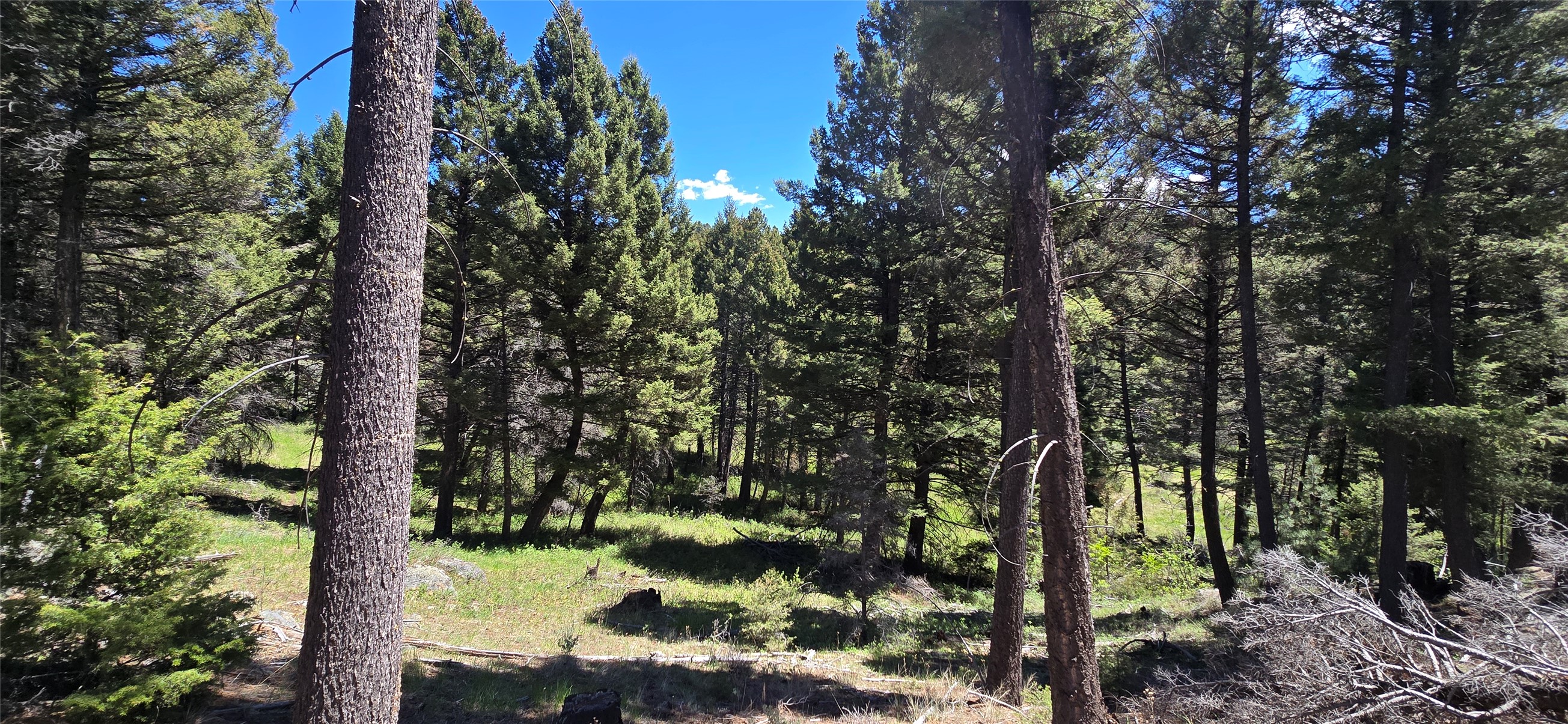 Tbd Powerline Road Property Photo 2
