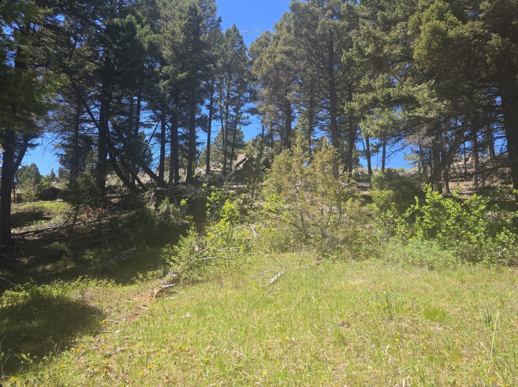 Tbd Powerline Road Property Photo 8