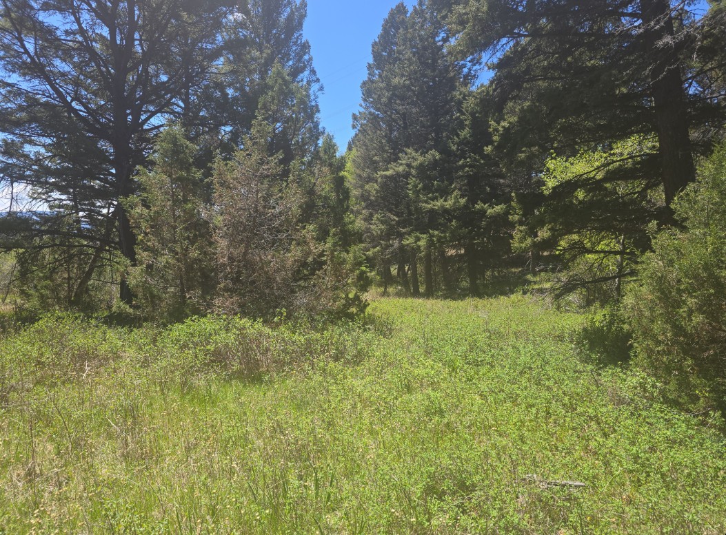 Tbd Powerline Road Property Photo 9