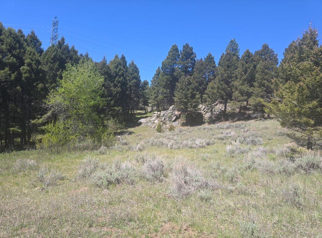 Tbd Powerline Road Property Photo 10