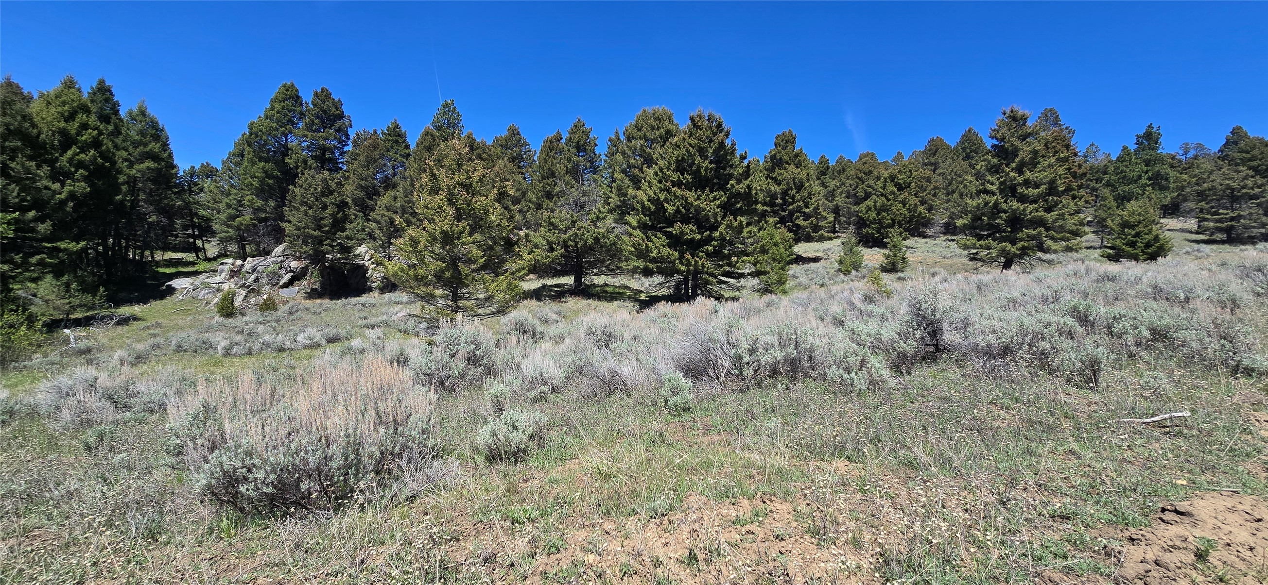 Tbd Powerline Road Property Photo 11