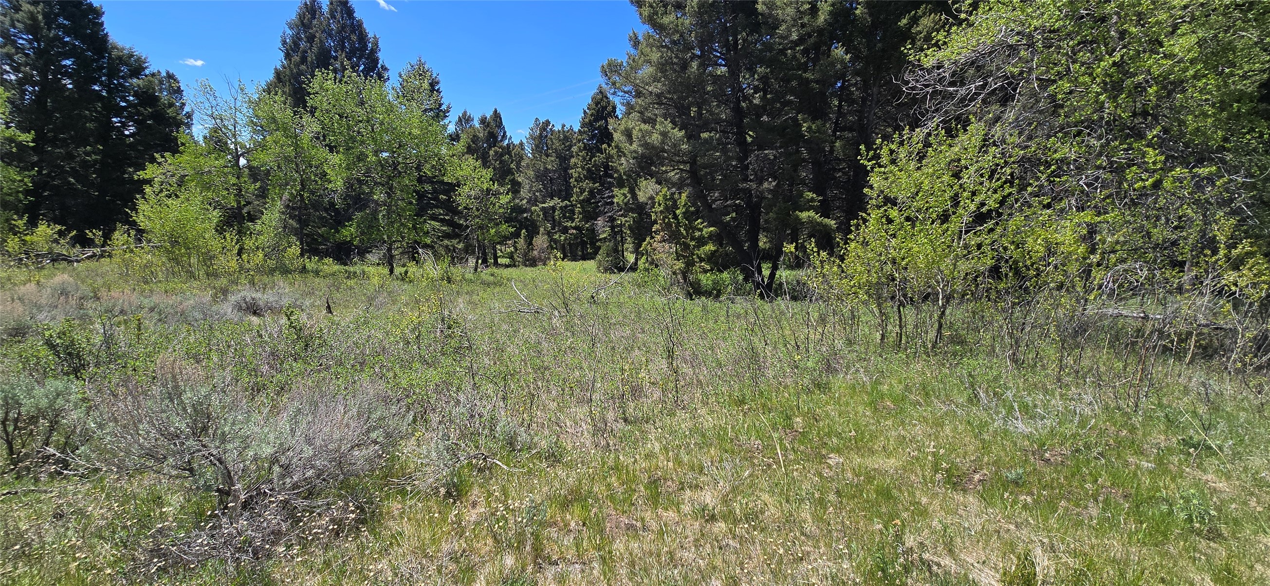 Tbd Powerline Road Property Photo 12