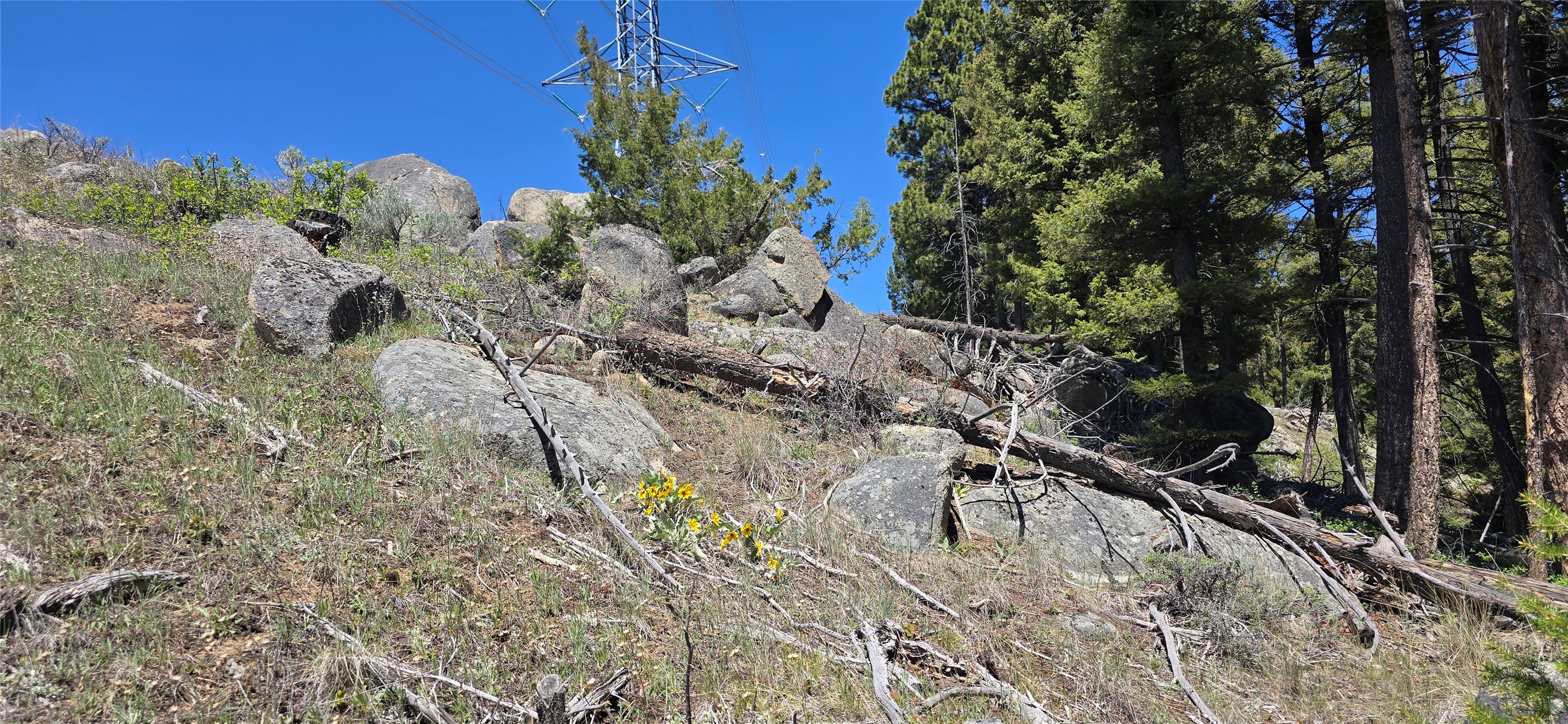 Tbd Powerline Road Property Photo 13