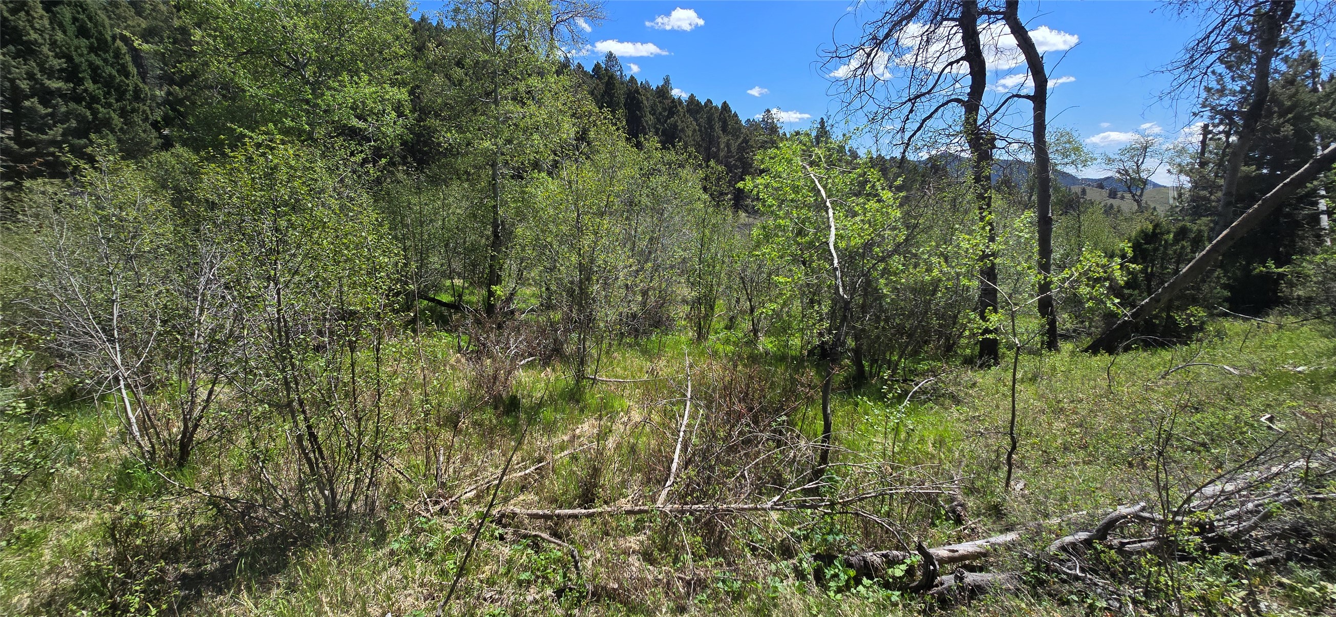 Tbd Powerline Road Property Photo 14