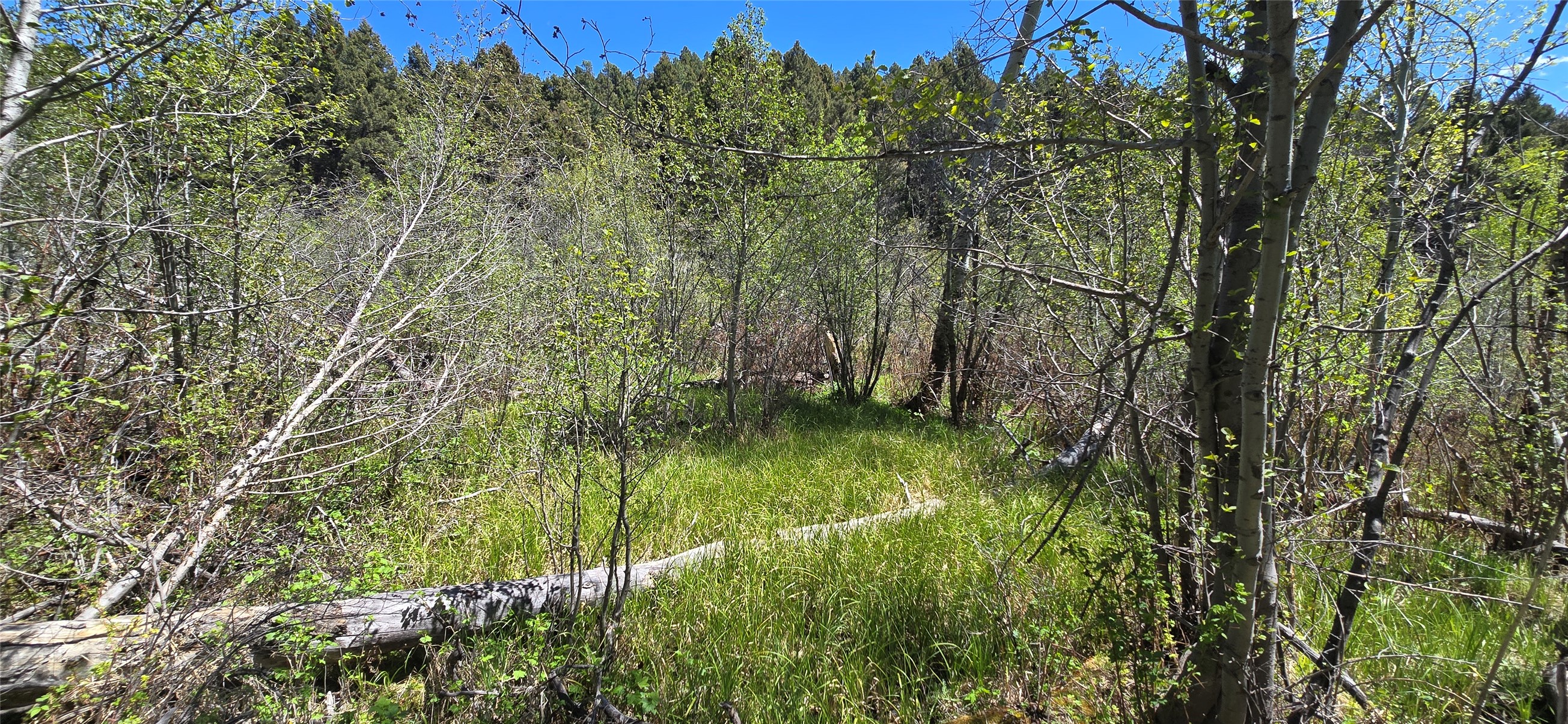 Tbd Powerline Road Property Photo 15