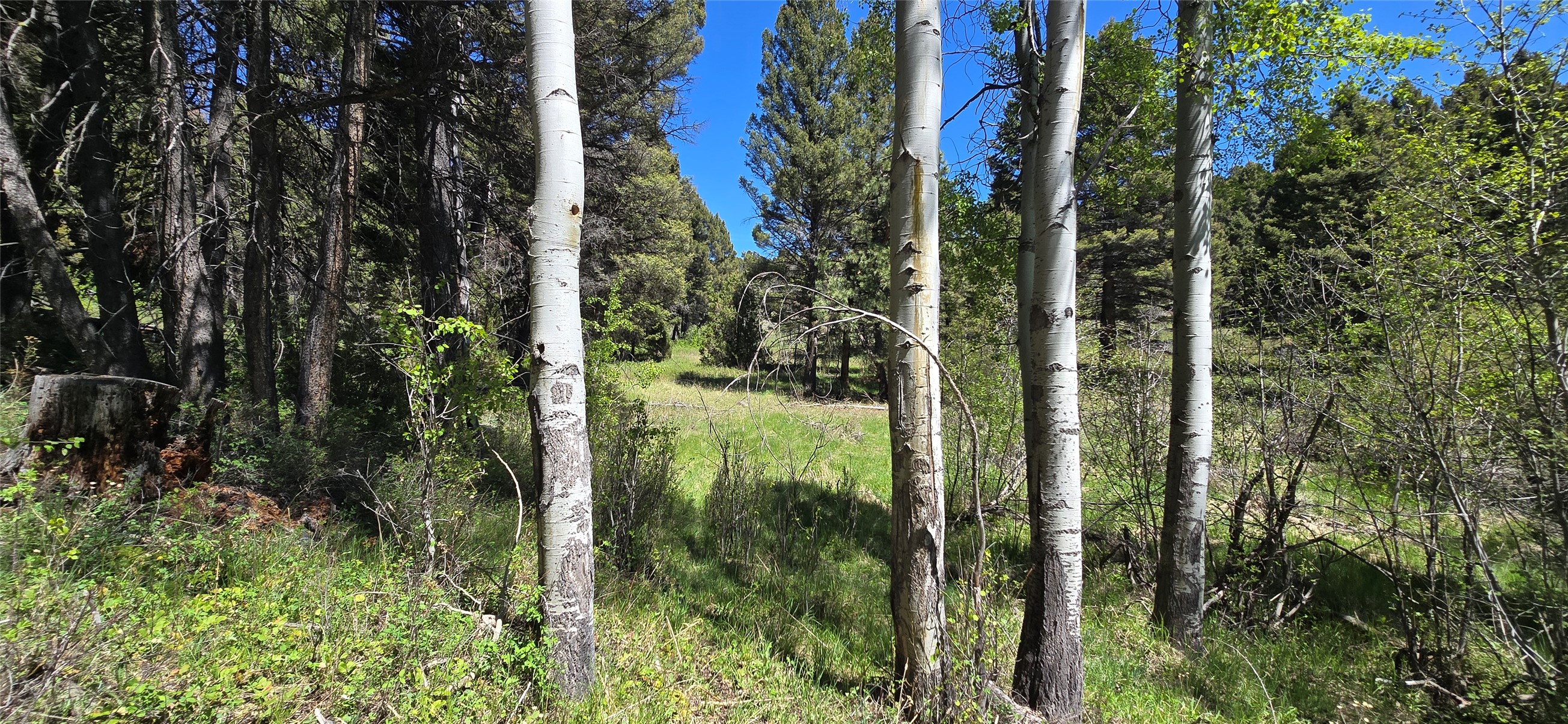 Tbd Powerline Road Property Photo 16