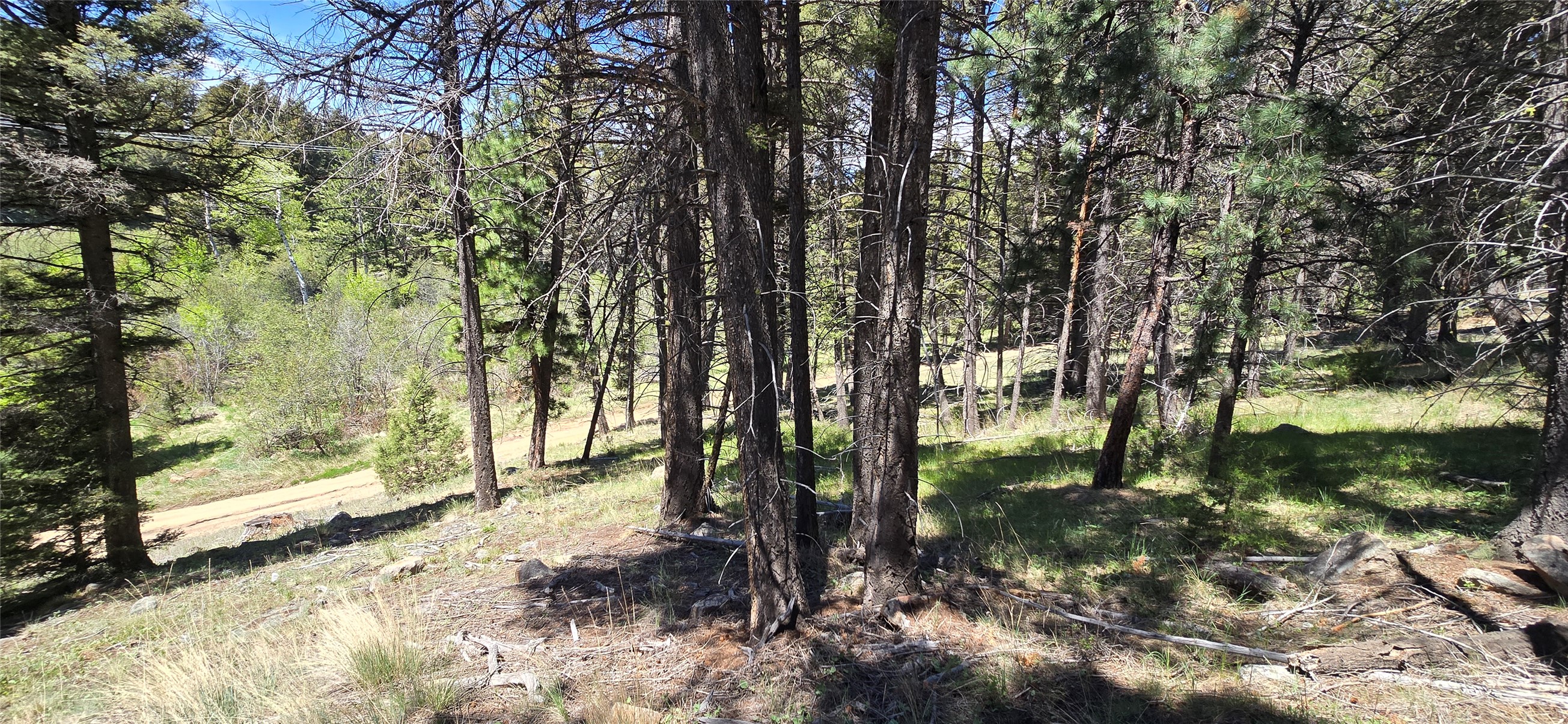 Tbd Powerline Road Property Photo 17