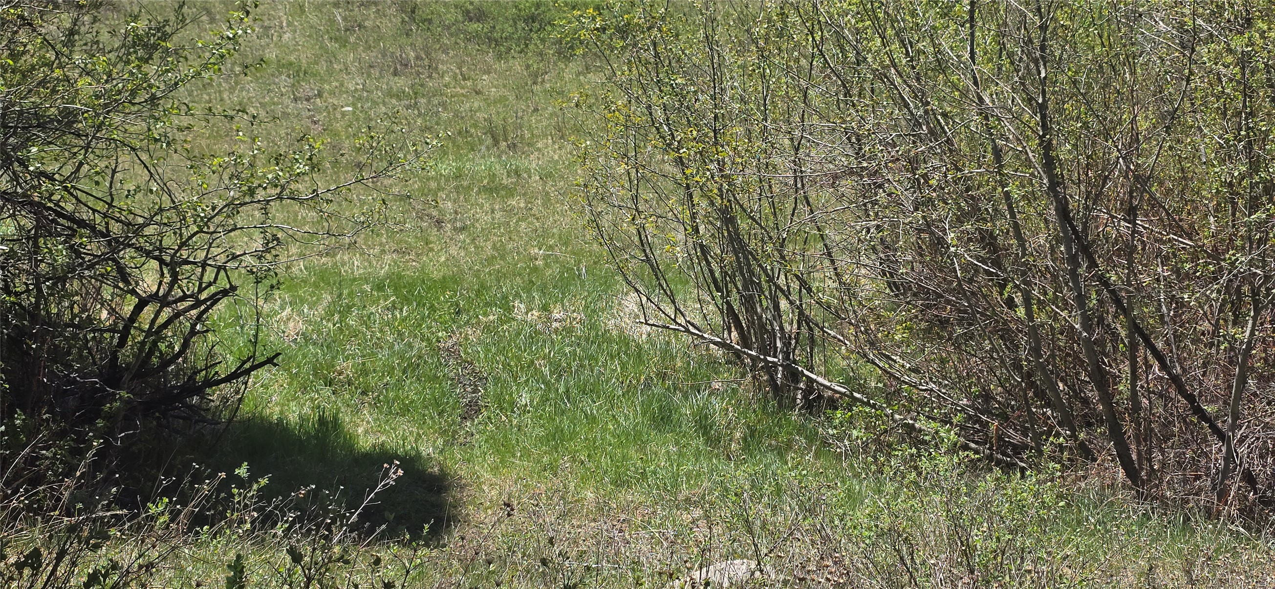 Tbd Powerline Road Property Photo 18