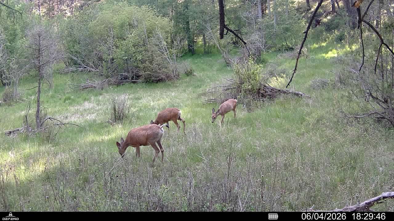 Tbd Powerline Road Property Photo 21
