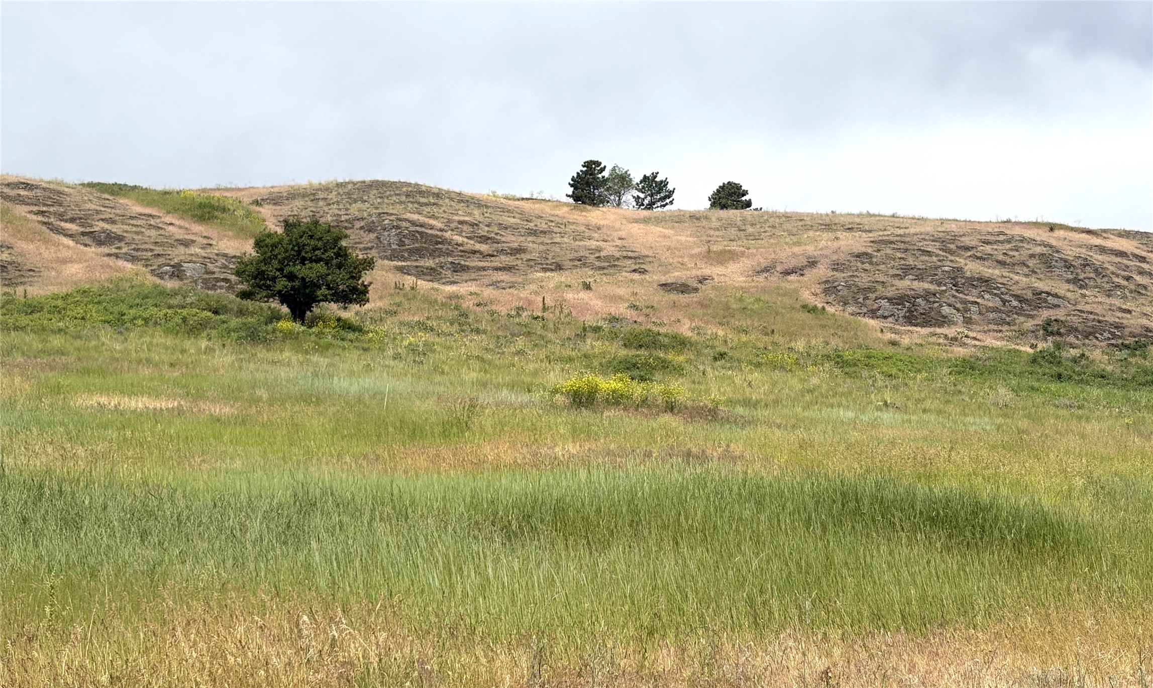 Homesite 25 Stone Horse Drive Property Photo 4
