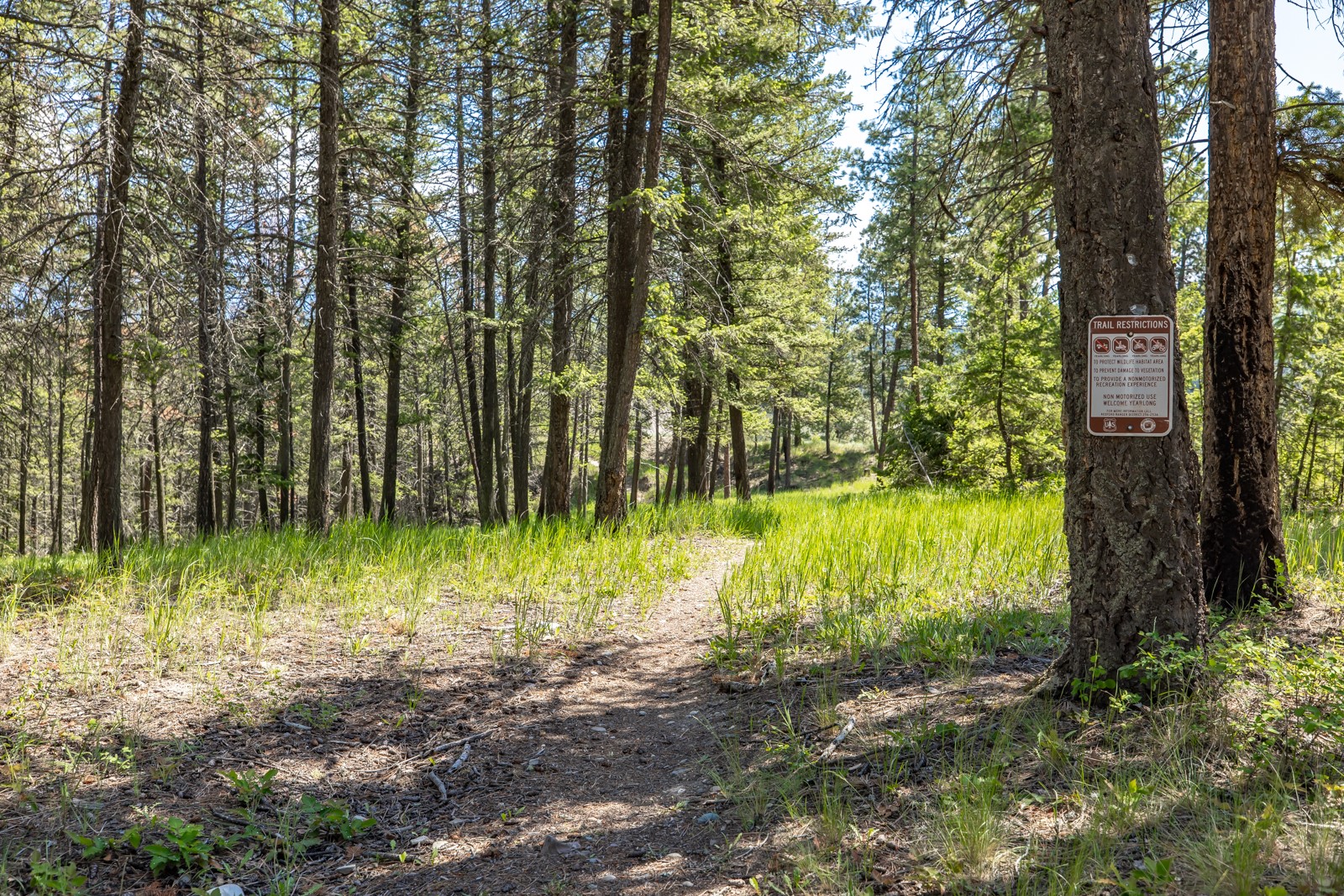 731 Hoodoo Loop Property Photo 46