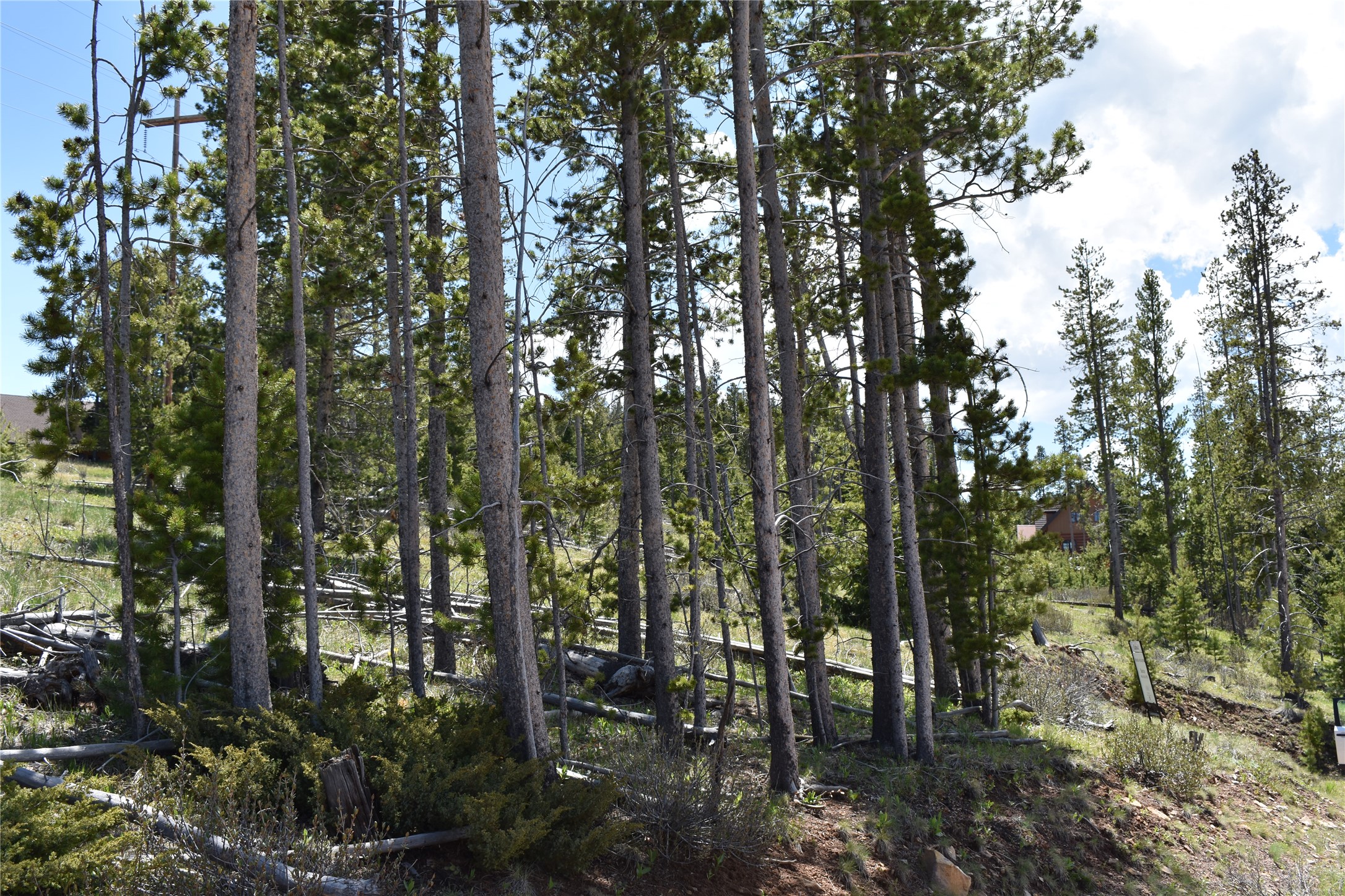16 Mule Deer Lane Property Photo 4
