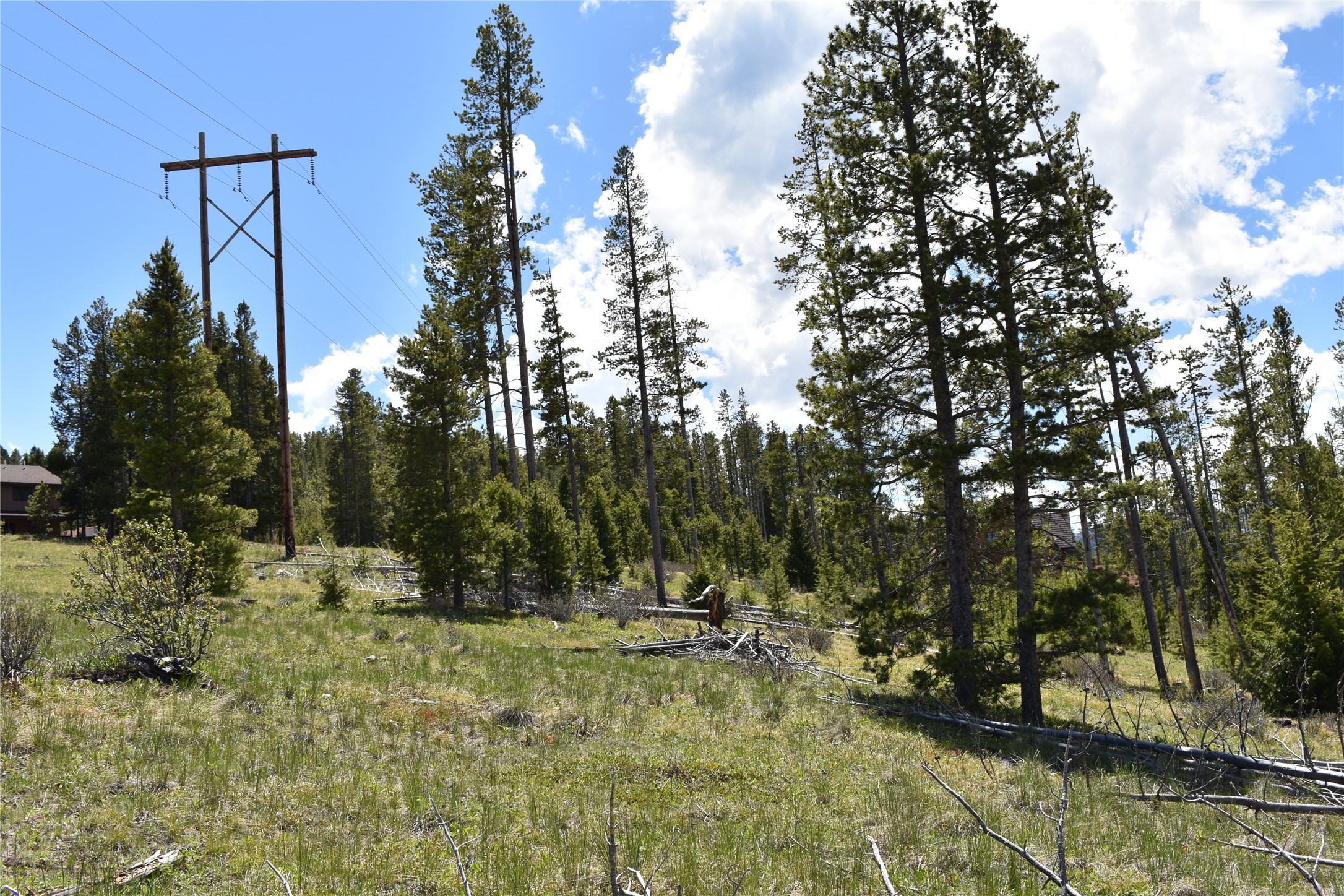 16 Mule Deer Lane Property Photo 5