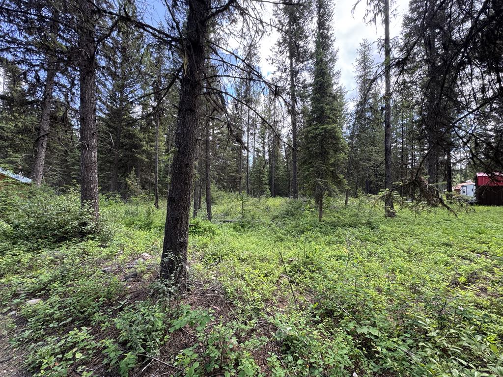 768 Deep Woods Trail Property Photo 2