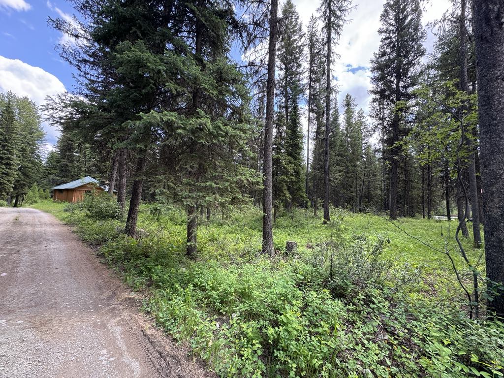 768 Deep Woods Trail Property Photo 3