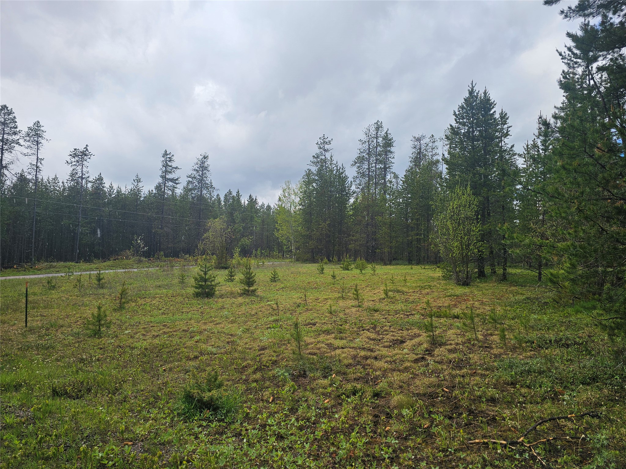 106 Caribou Street Property Photo 1