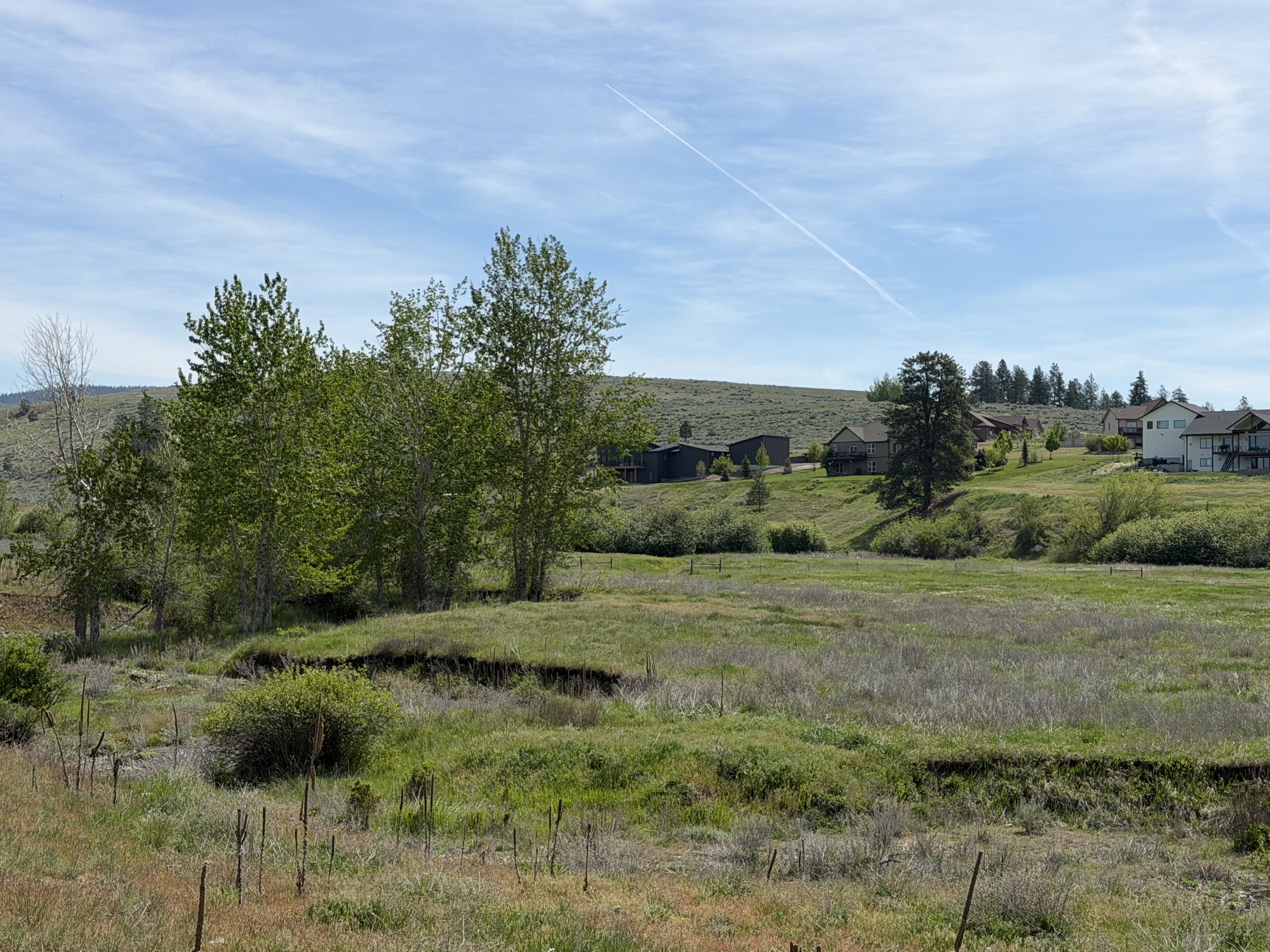 5559 Riley Lane Property Photo 11