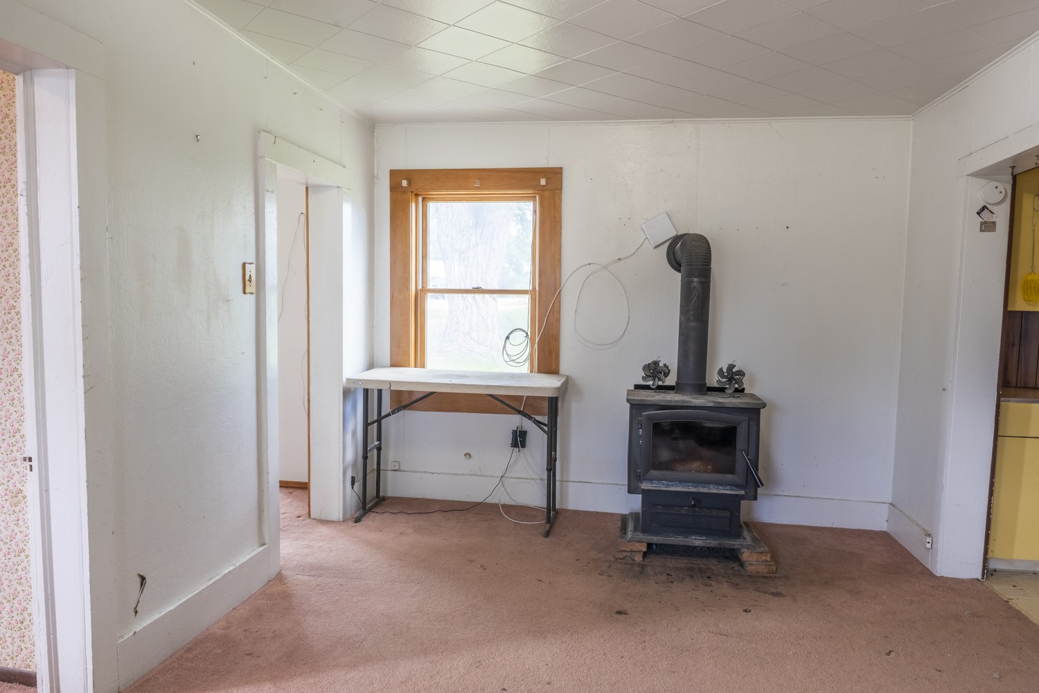 313 Main Street Property Photo 6