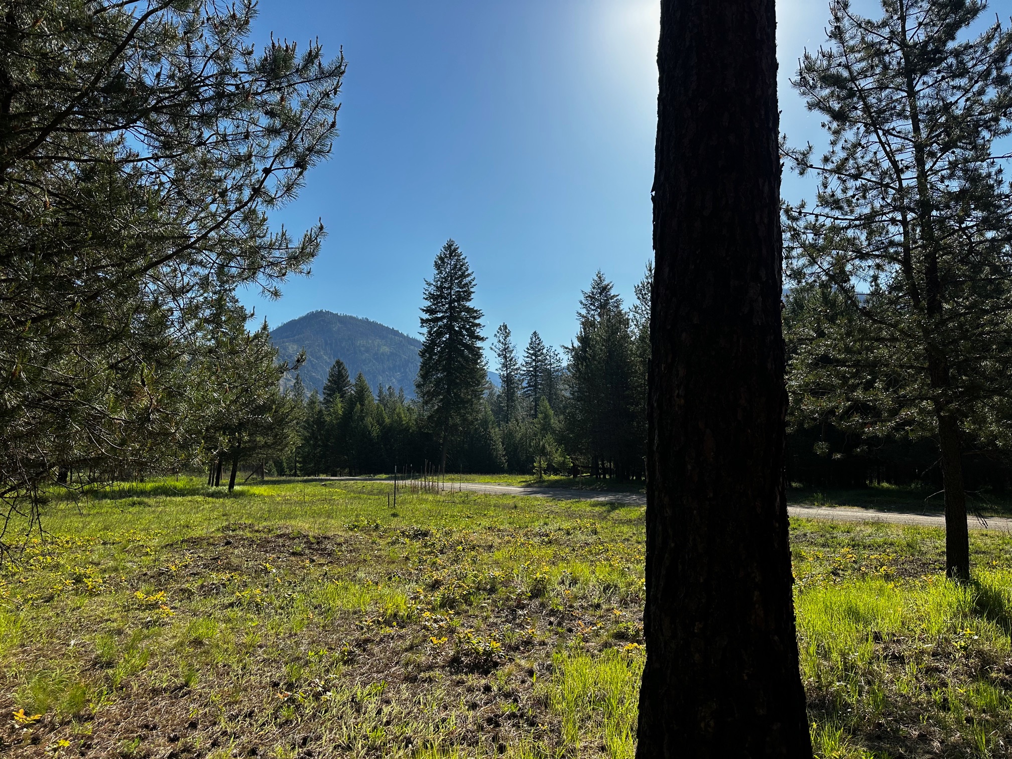 NHN Graves Creek Loop
