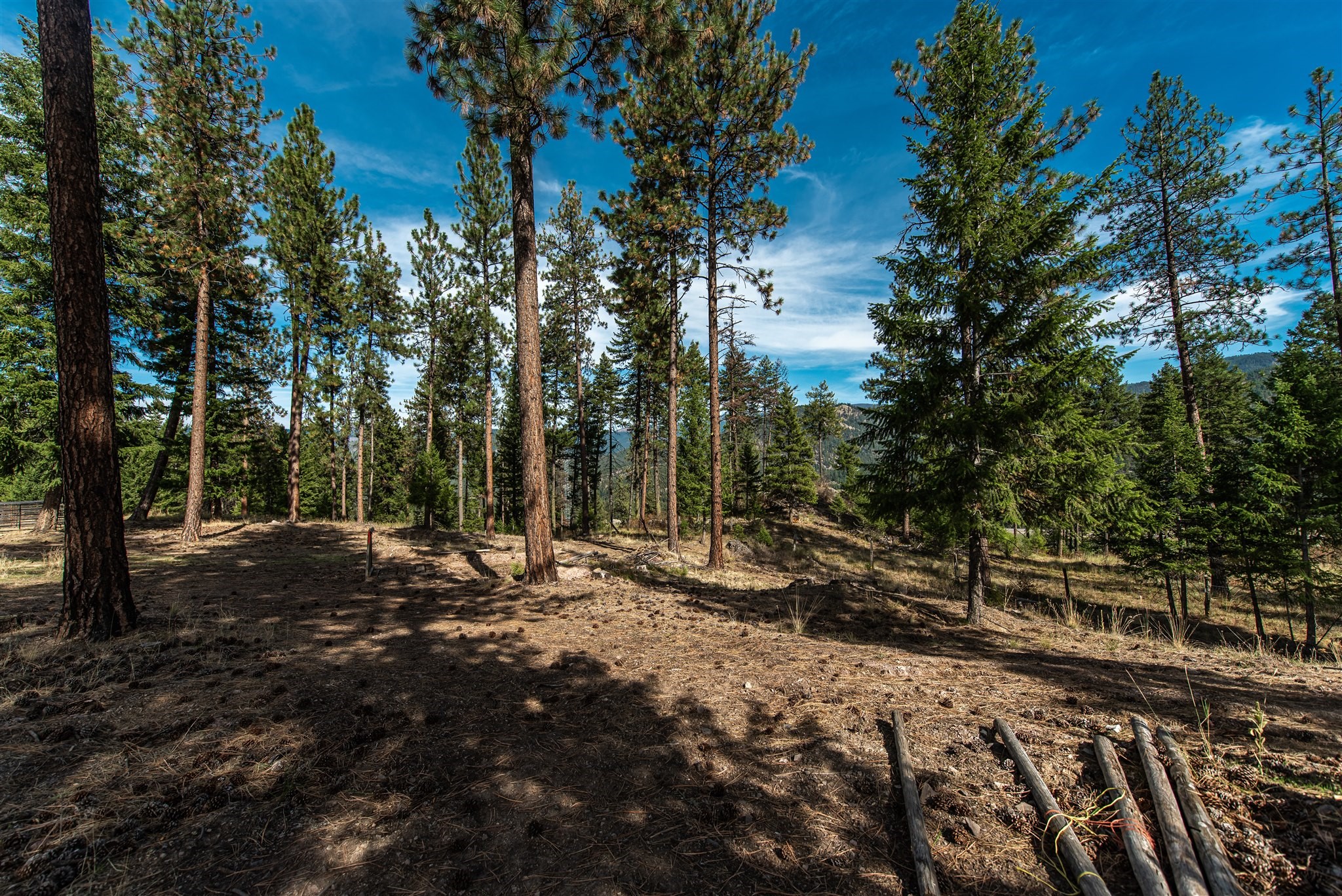 814 Quartz Road Property Photo 15