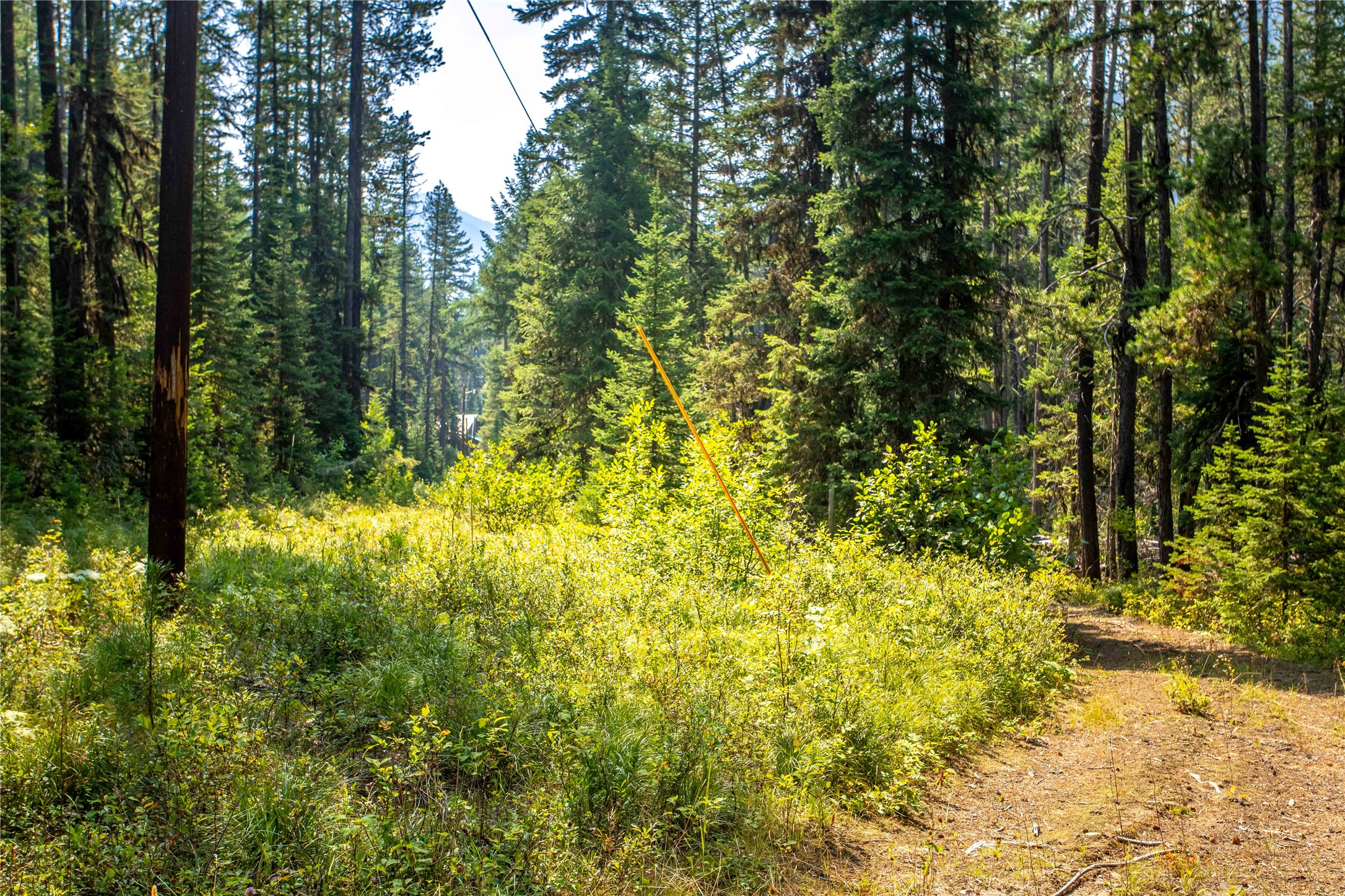 14265 Us Hwy 2 E Property Photo 48