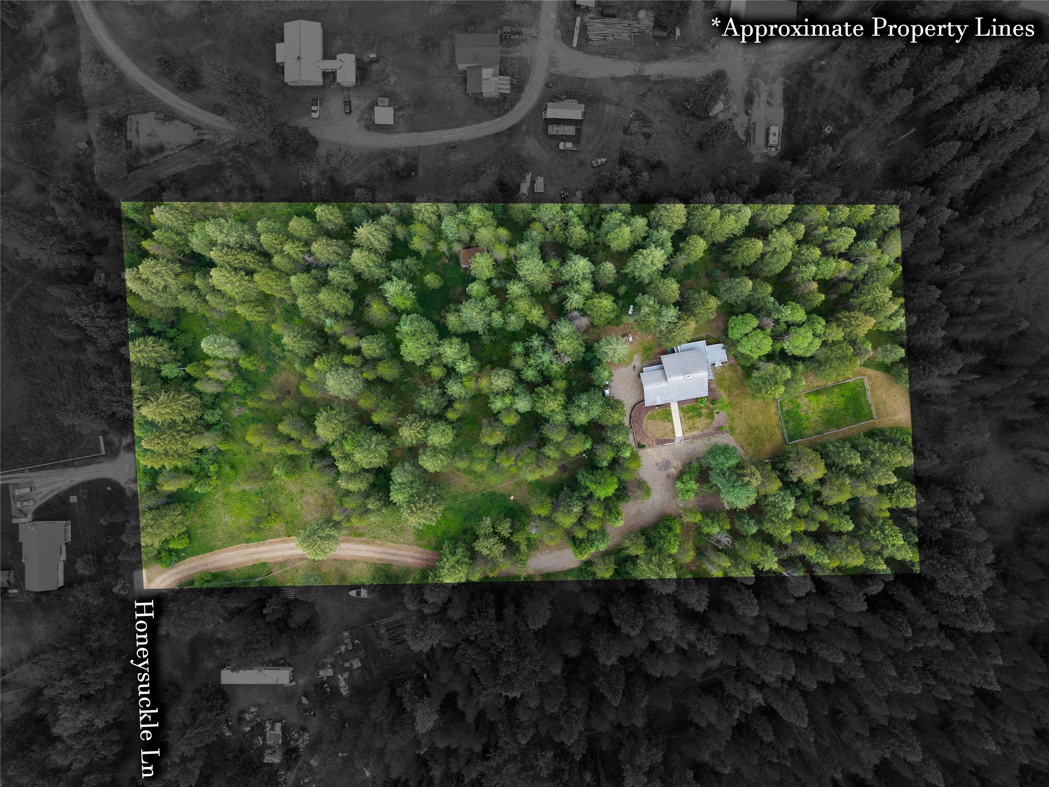 202 Honeysuckle Lane Property Photo 11