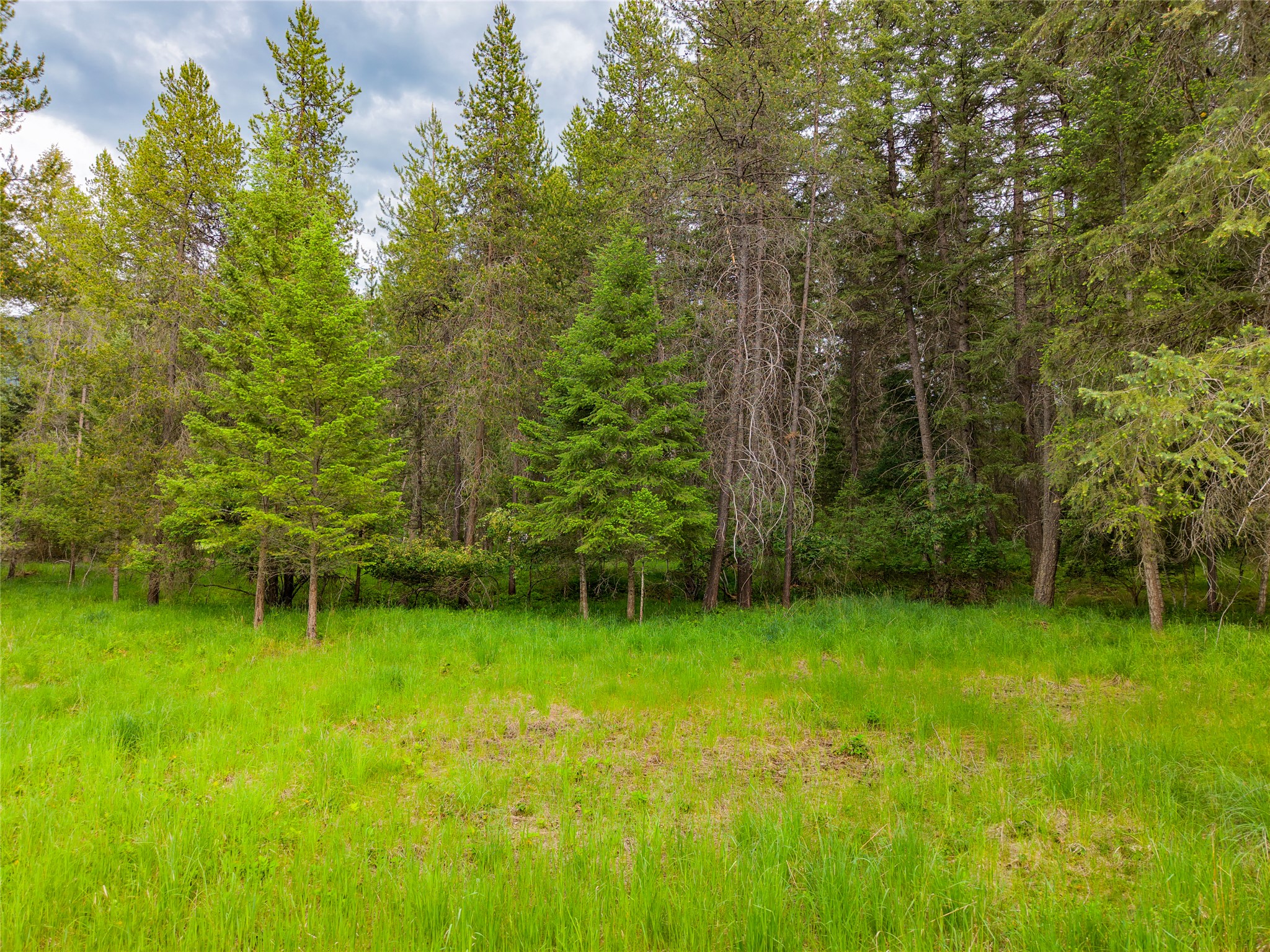 202 Honeysuckle Lane Property Photo 18