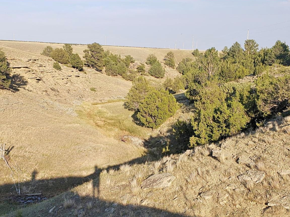 Tbd Antelope Road Property Photo 7