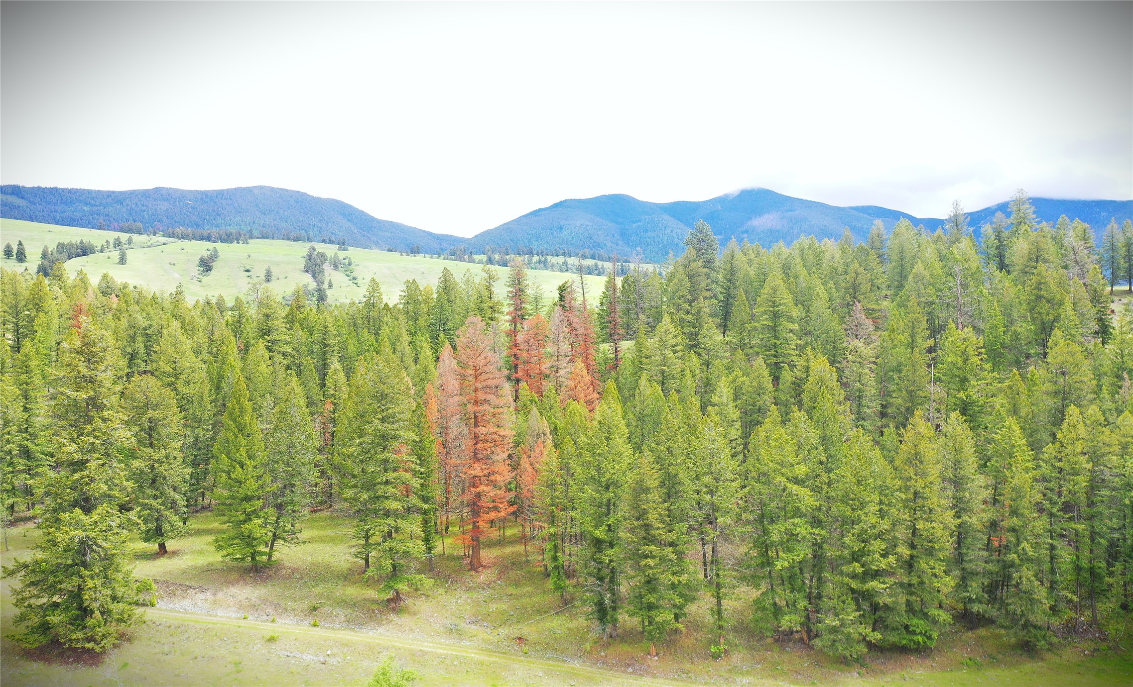 6642 Us Highway 93 N Property Photo 4