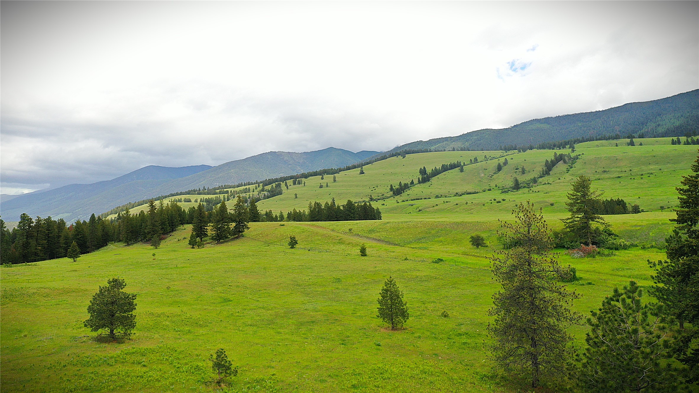 6642 Us Highway 93 N Property Photo 8