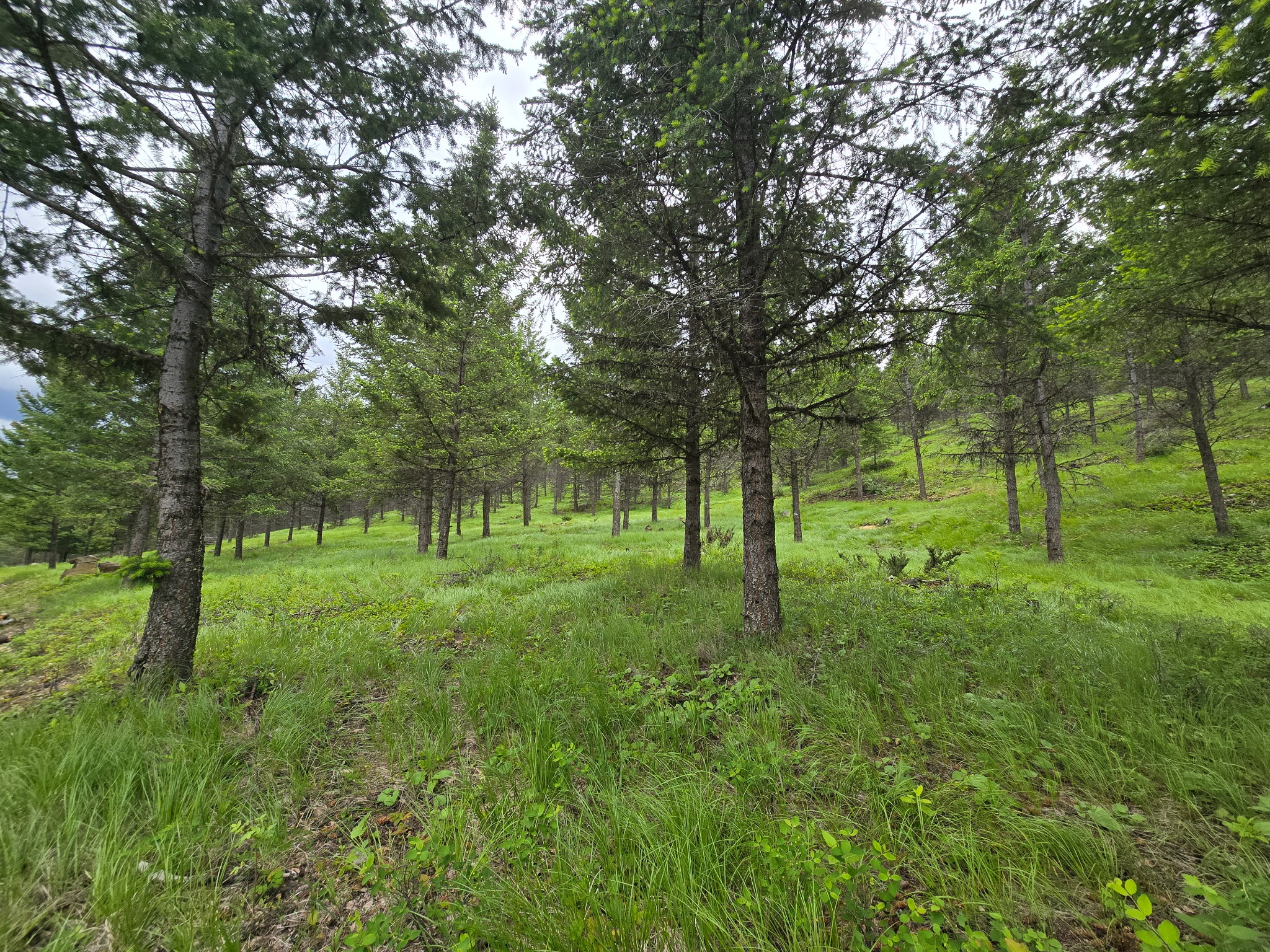 Parcel C Lake Othorp Road Property Photo 8