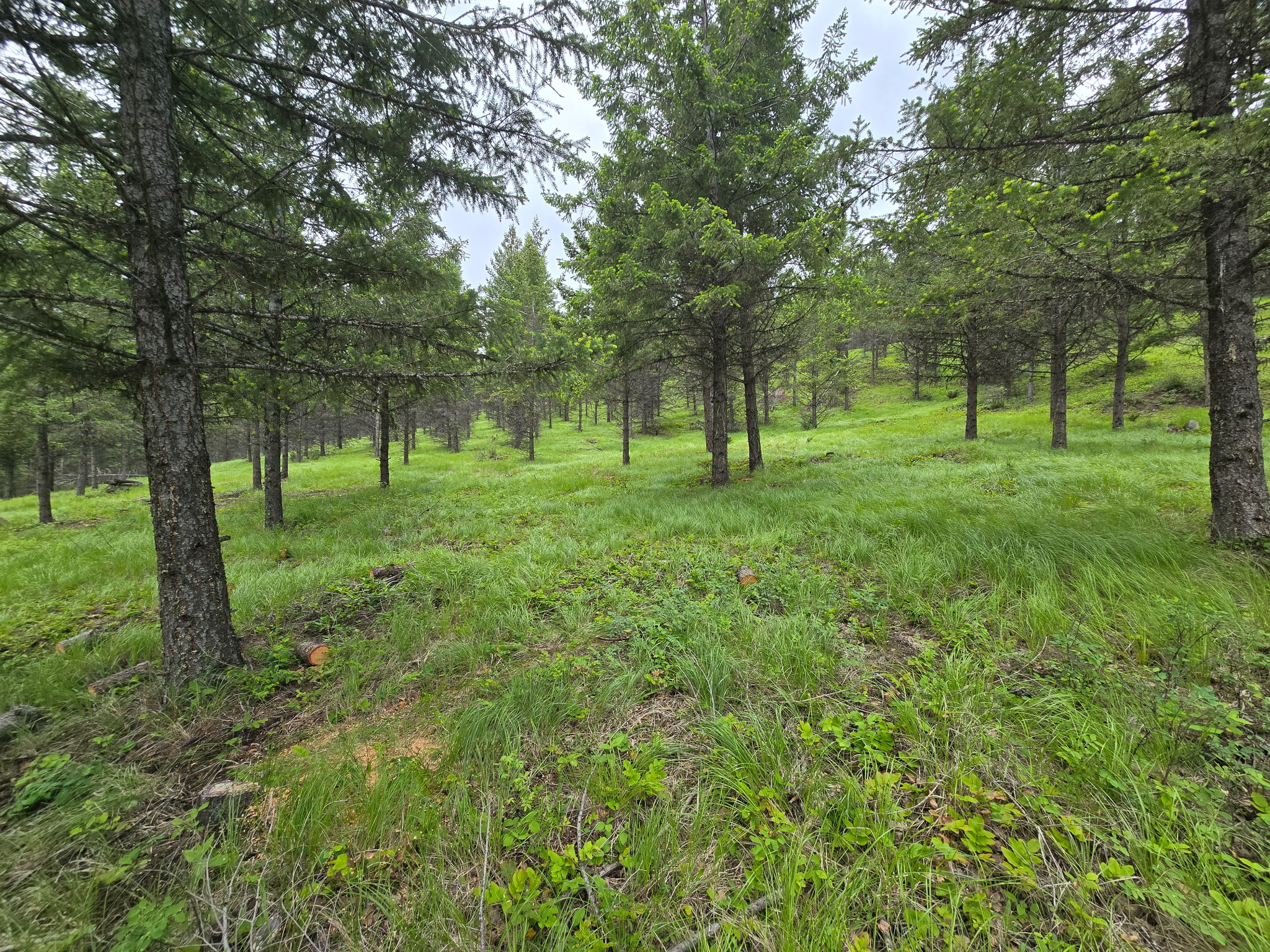 Parcel C Lake Othorp Road Property Photo 9