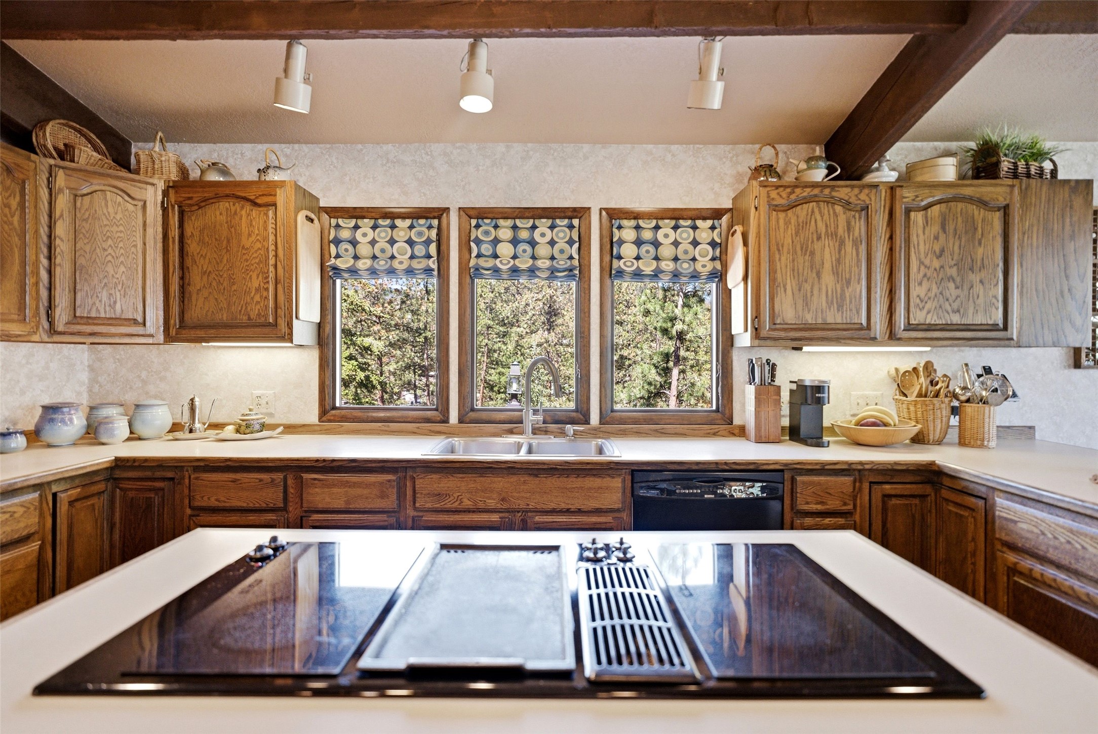 5545 Skyway Drive Property Photo 12