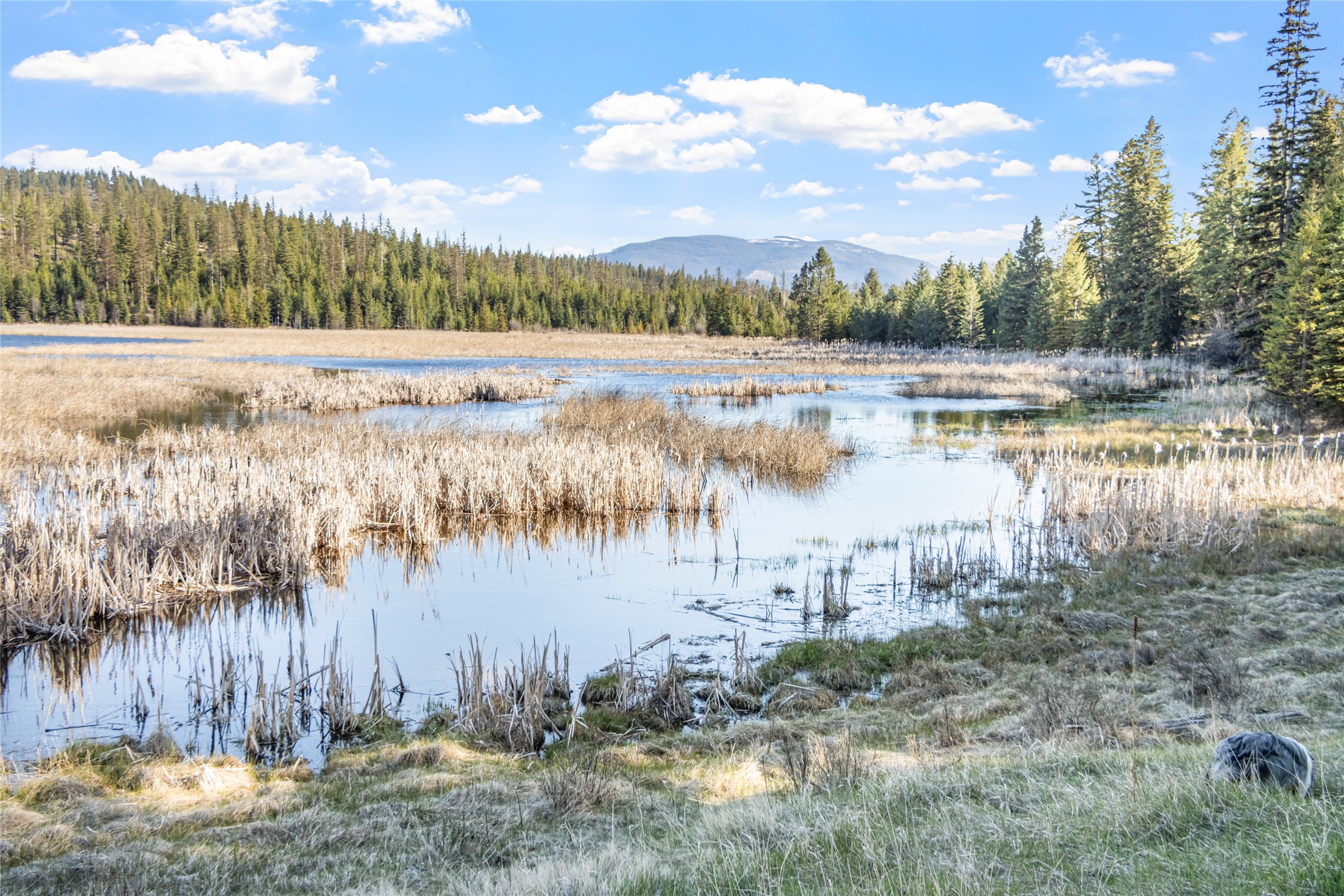 1500 Hodge Creek Road Property Photo 43