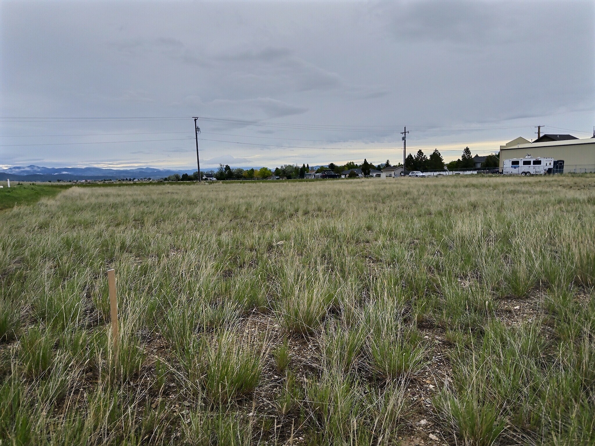 7925 Avocet Drive Property Photo 7
