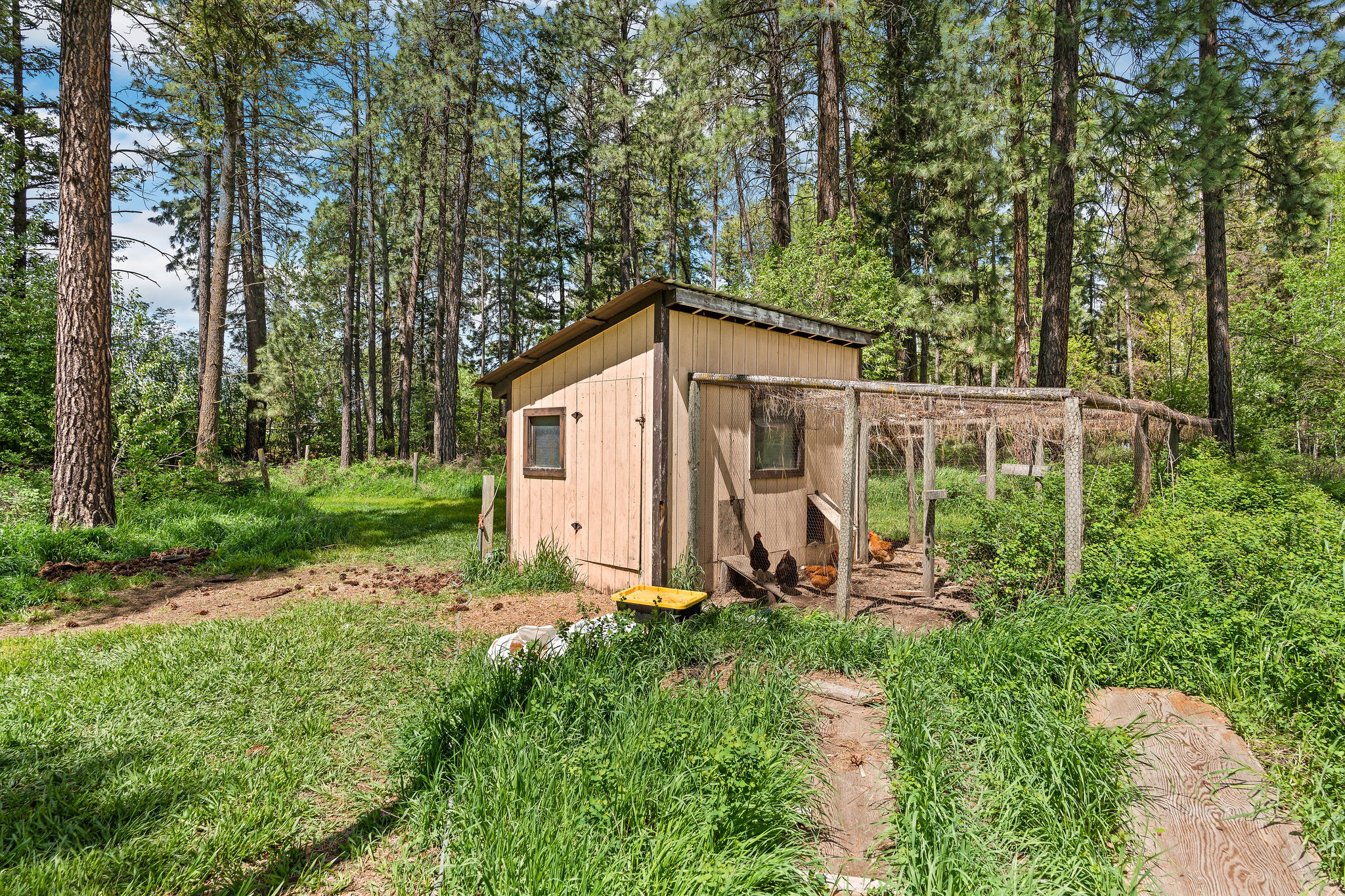 985 Jellison Road Property Photo 35