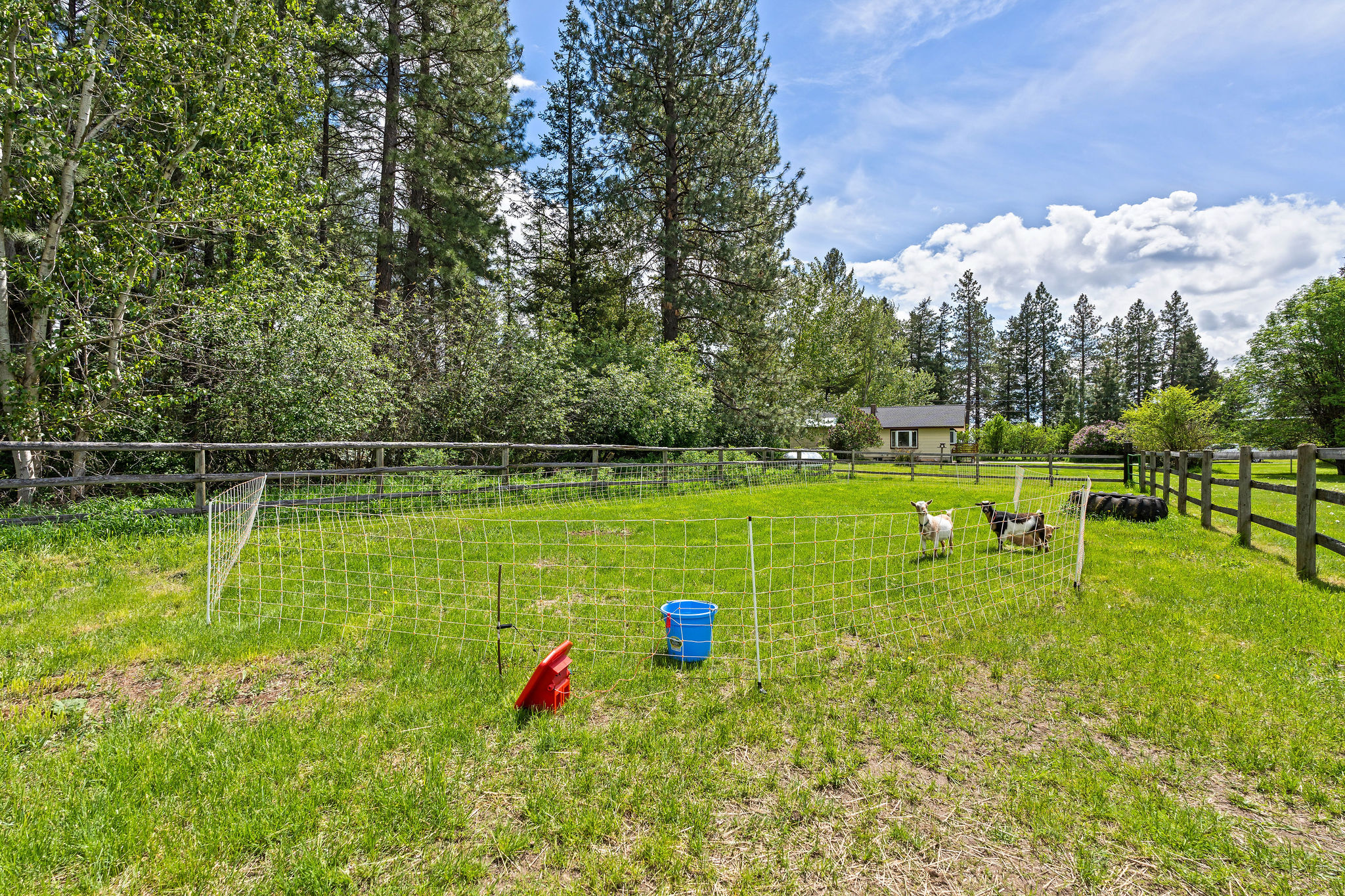 985 Jellison Road Property Photo 46