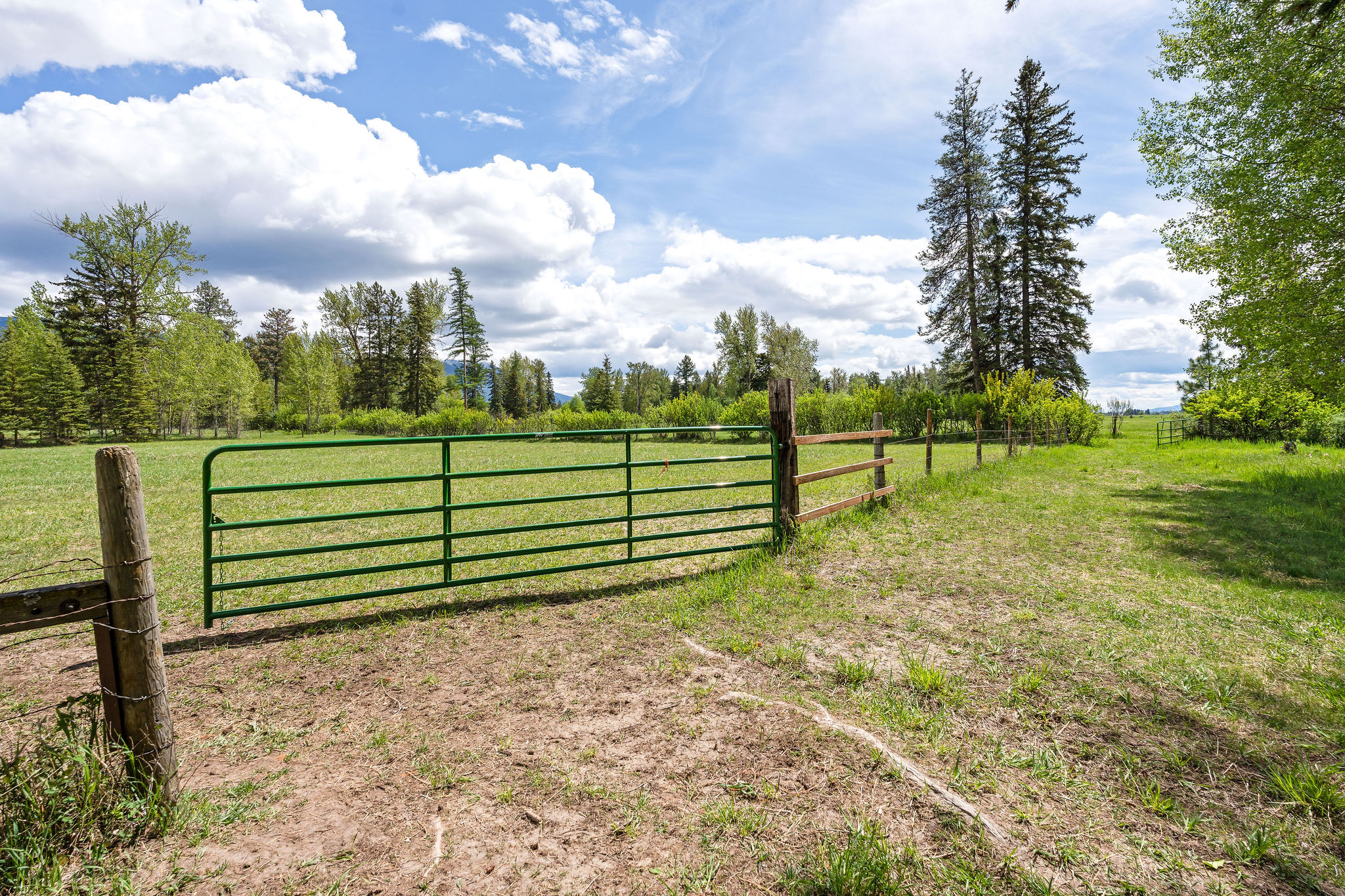 985 Jellison Road Property Photo 48