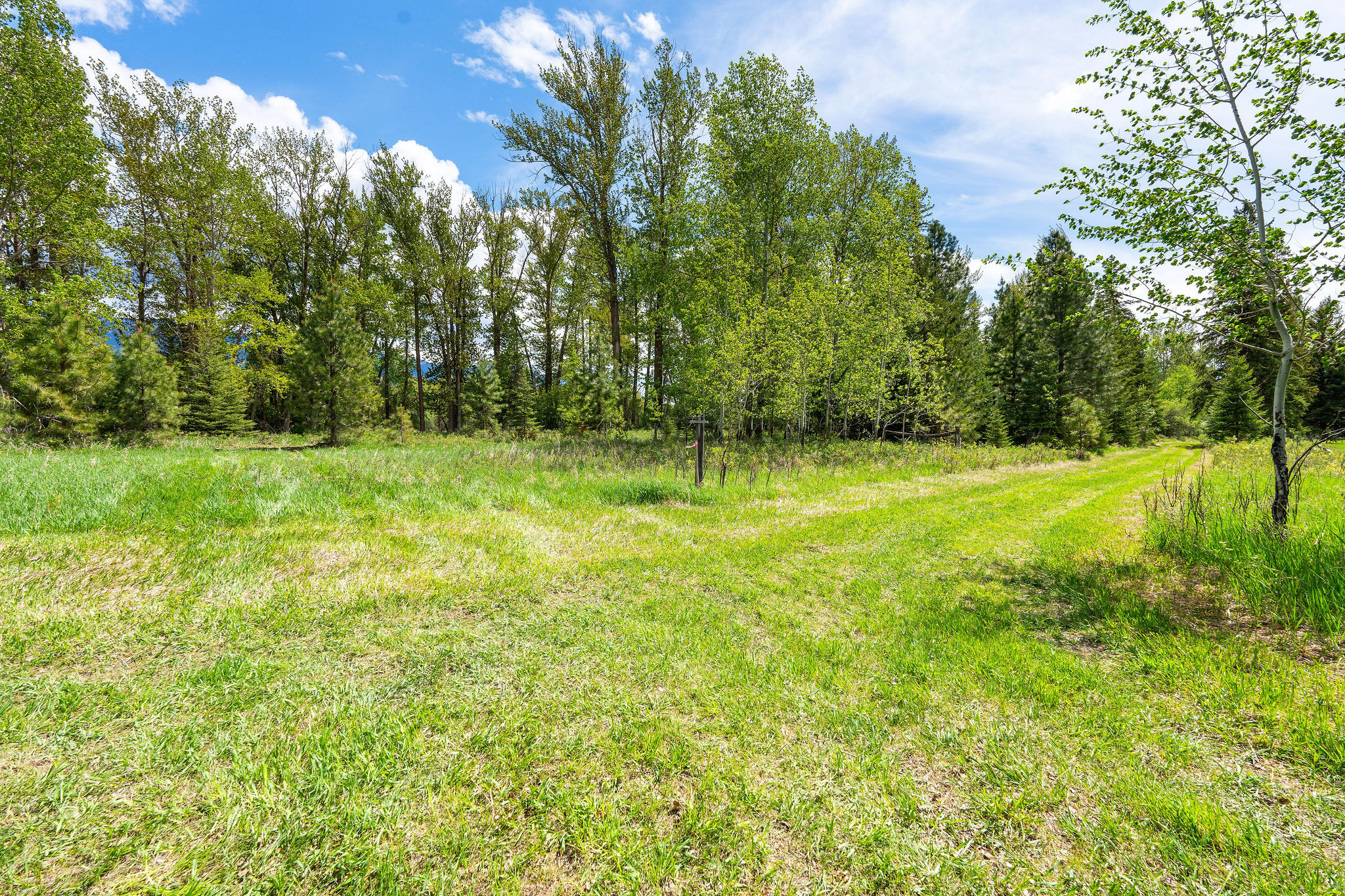 985 Jellison Road Property Photo 60