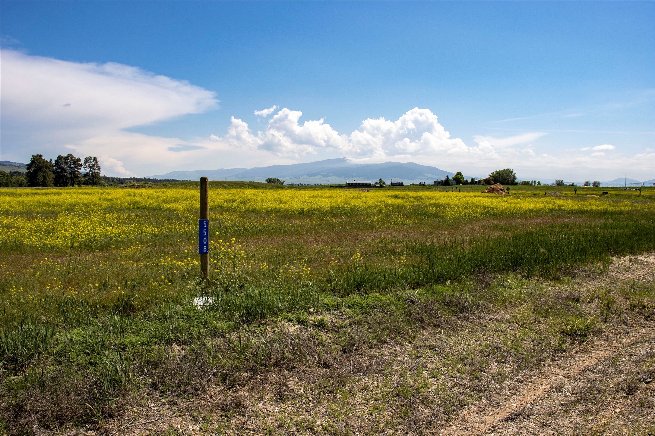 5503 Fireweed Loop Property Photo 7