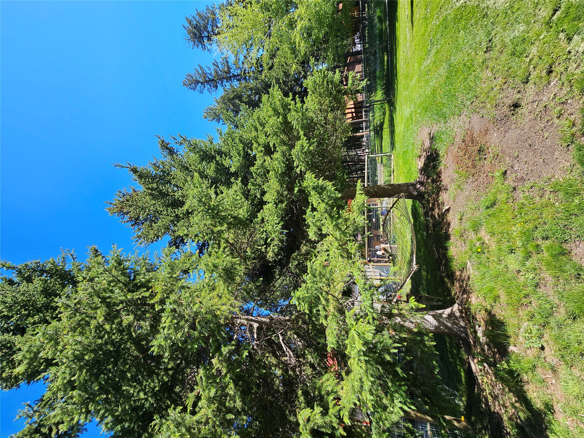 229 3rd Avenue Property Photo 49