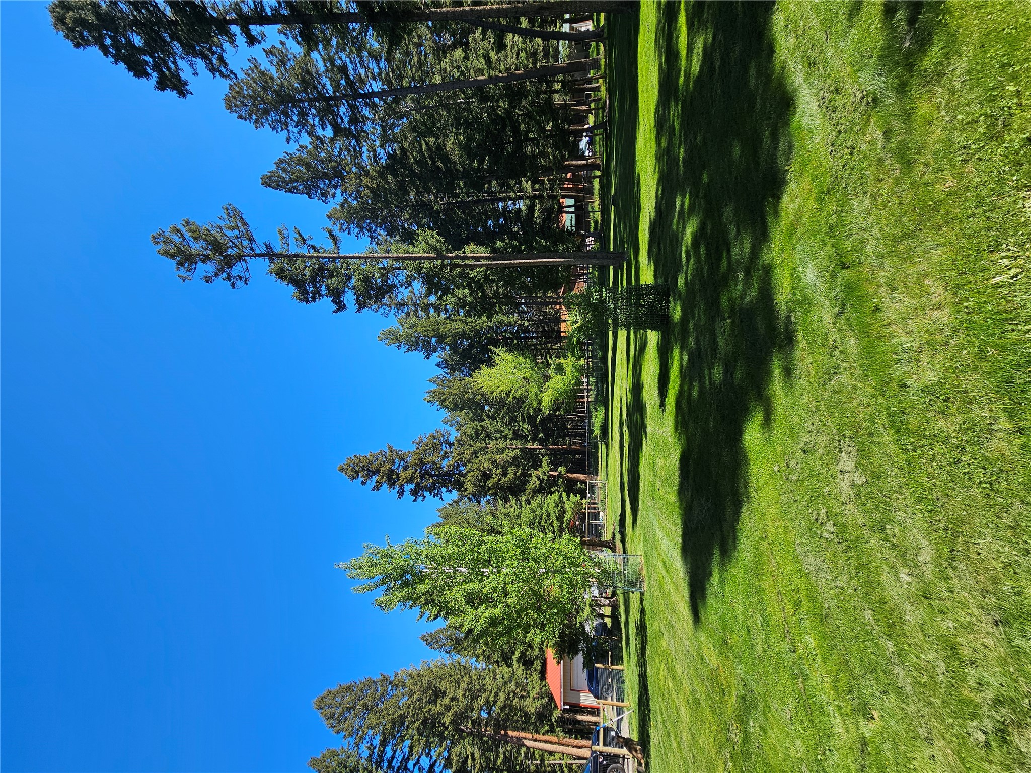 229 3rd Avenue Property Photo 50