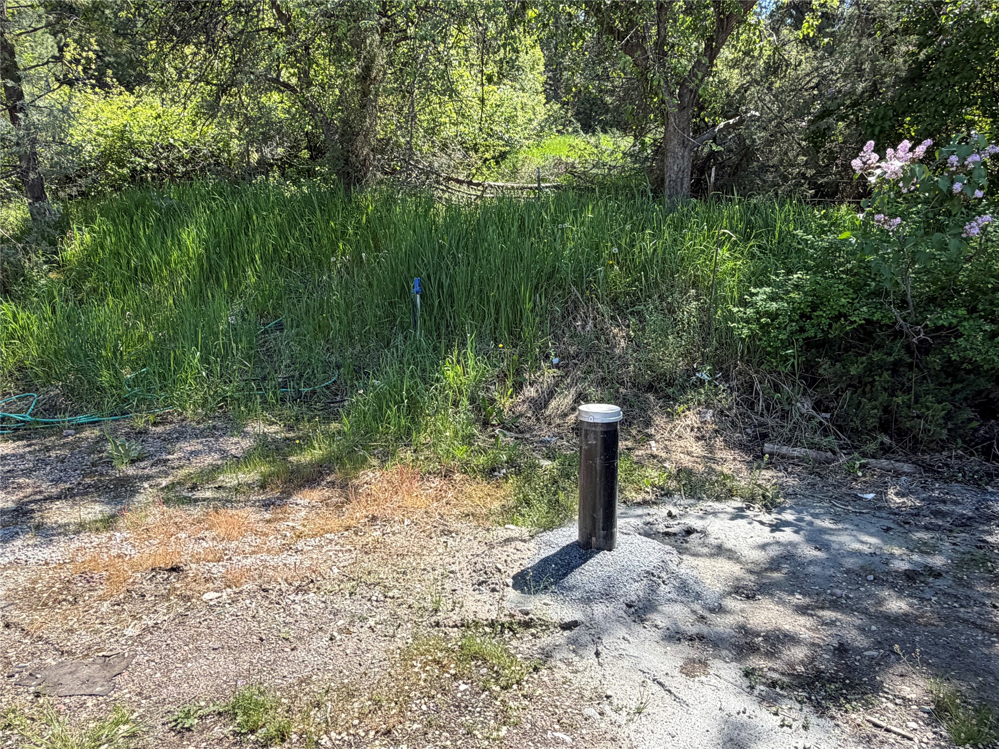 38261 Us Highway 93 Property Photo 39