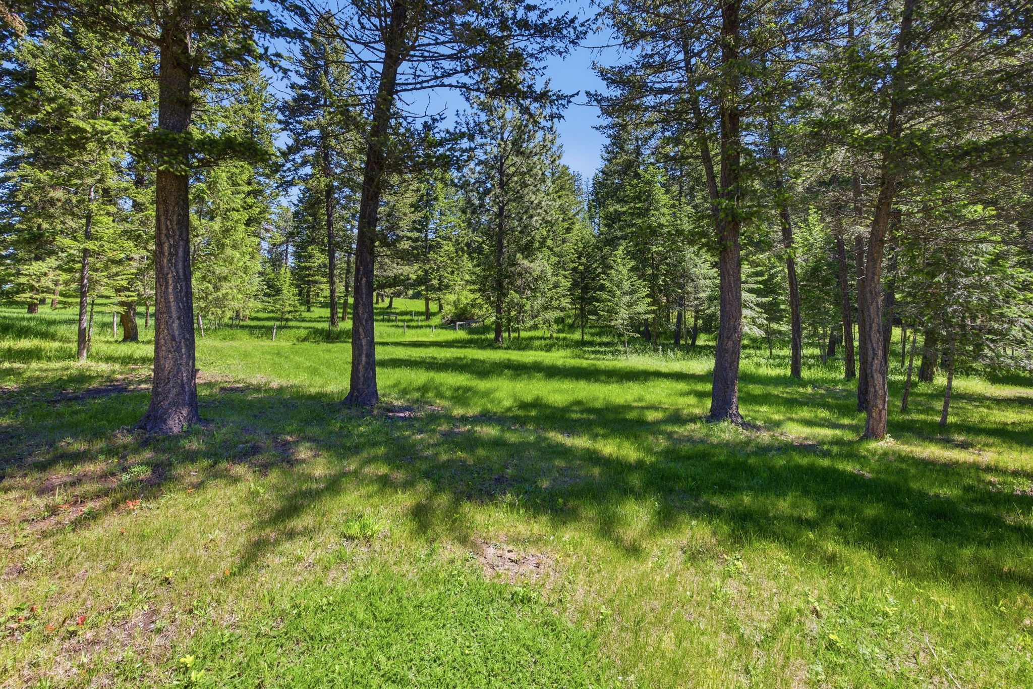 30123 Half Circle Way Property Photo 53